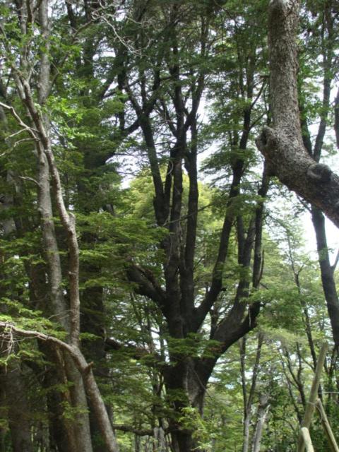 Turismo El Recodo, cabañas y camping