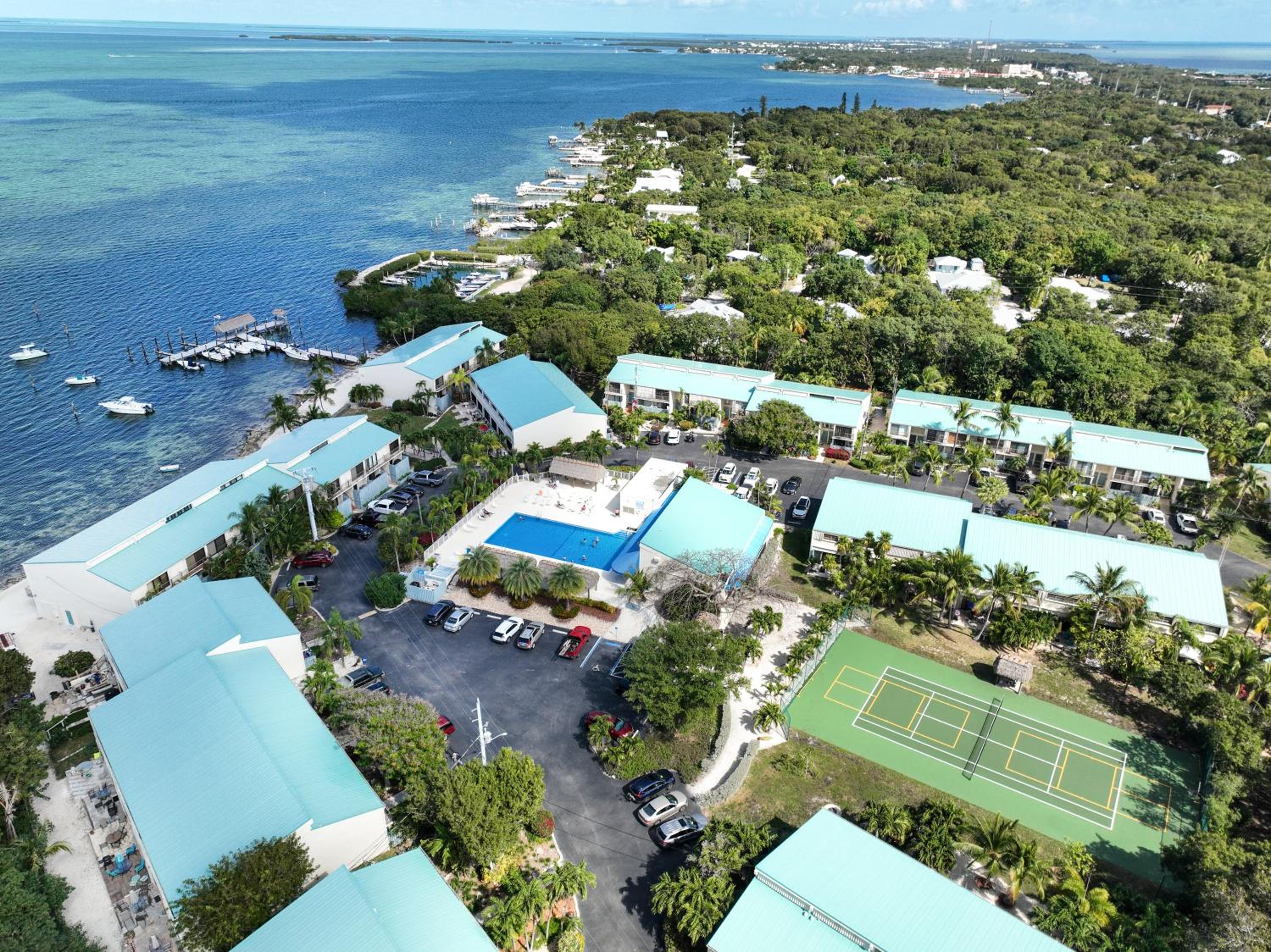 Photo 229