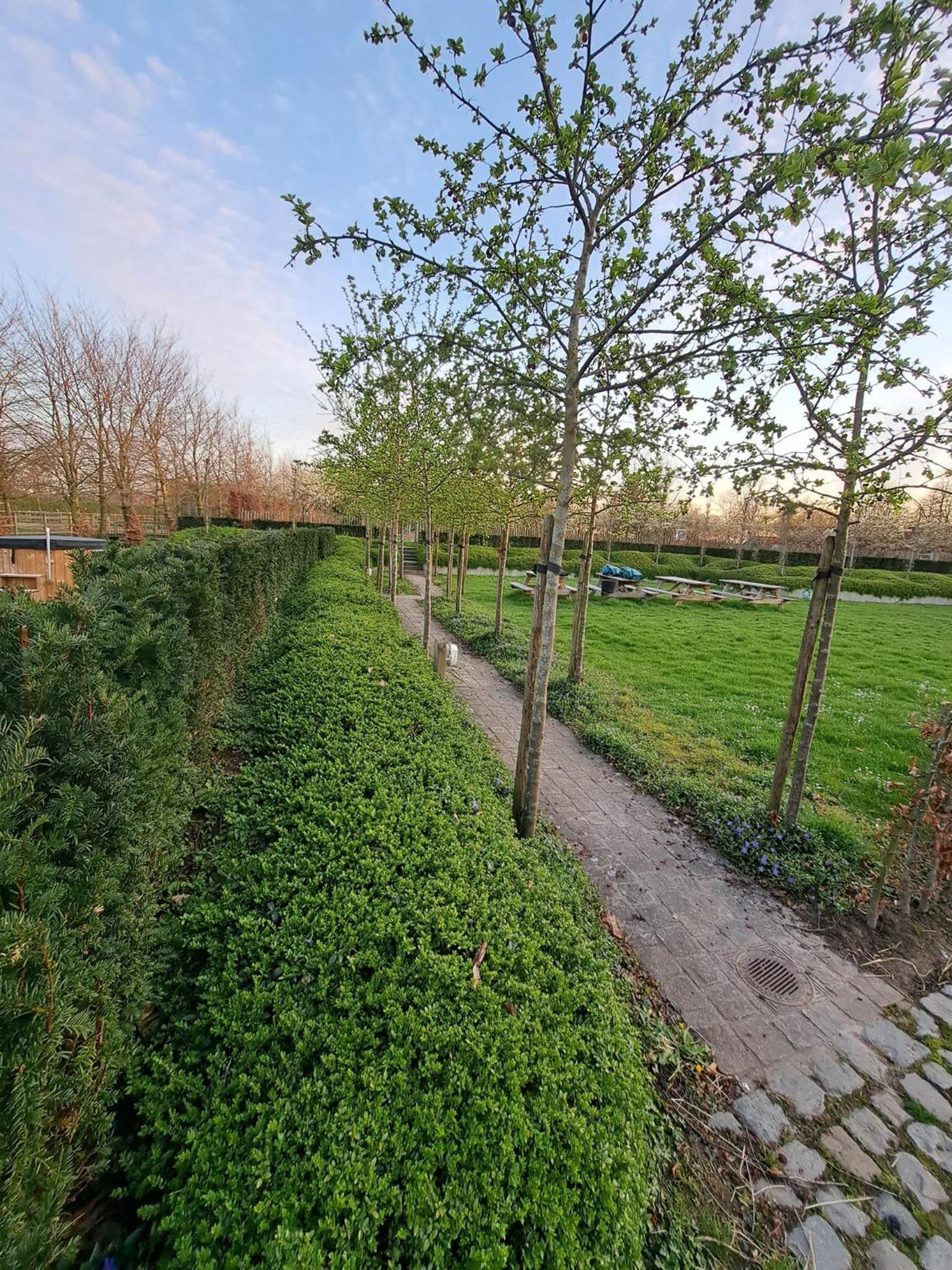 Domein Den Buiten Bed And Breakfast DnD