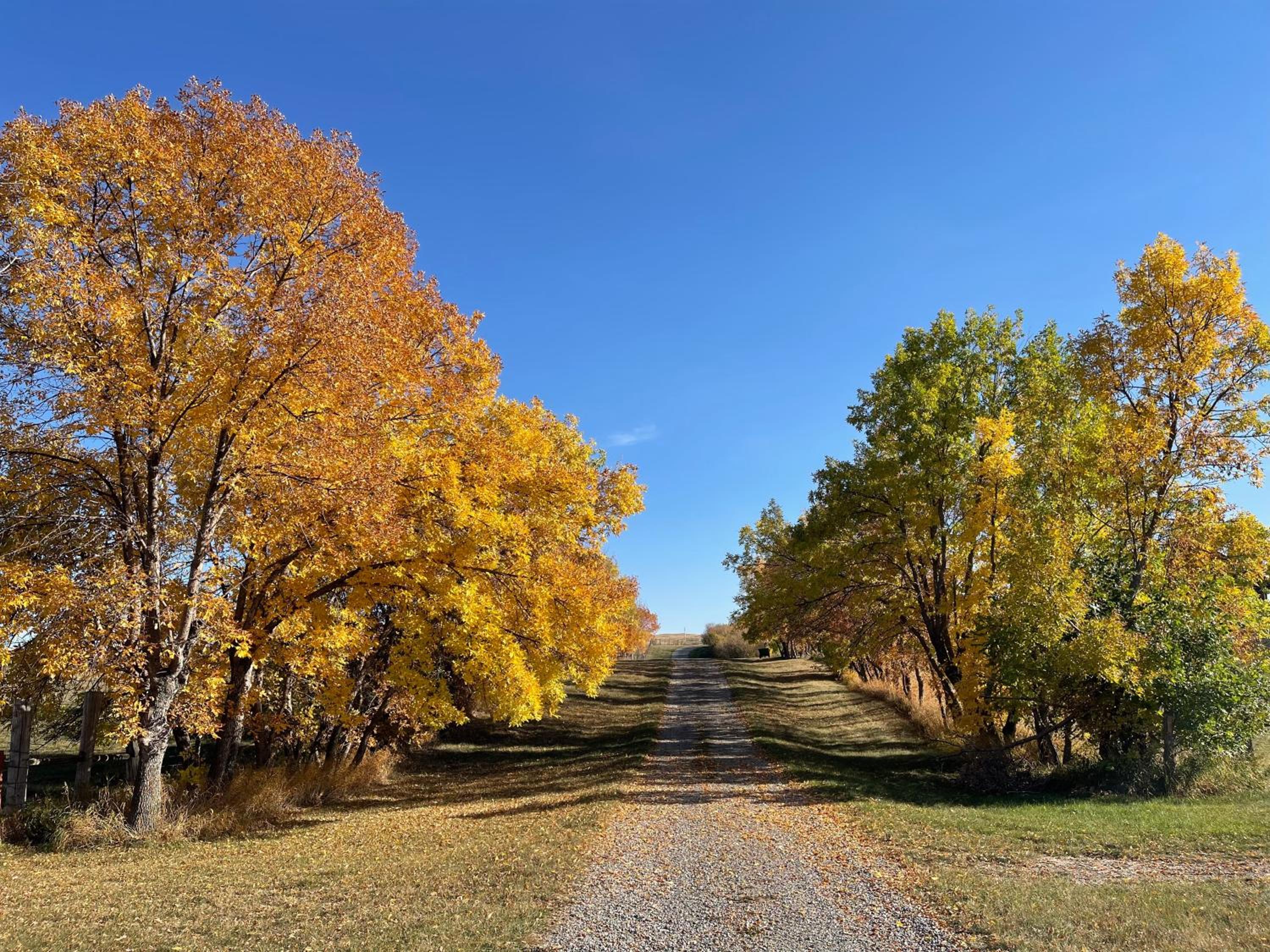 Bar M5 Ranch Stay