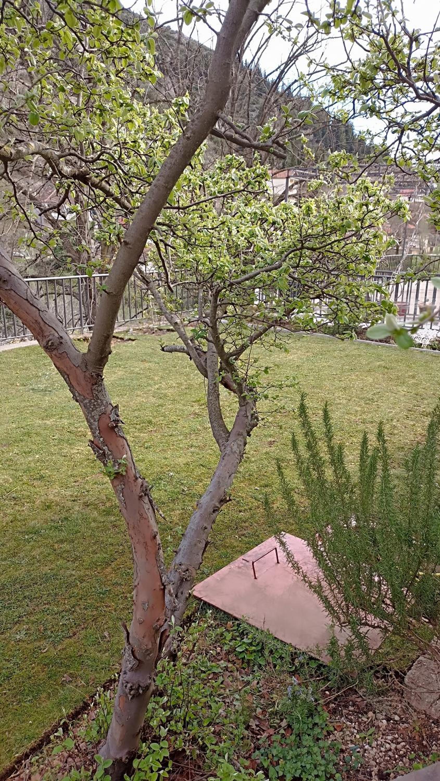 Photo 28