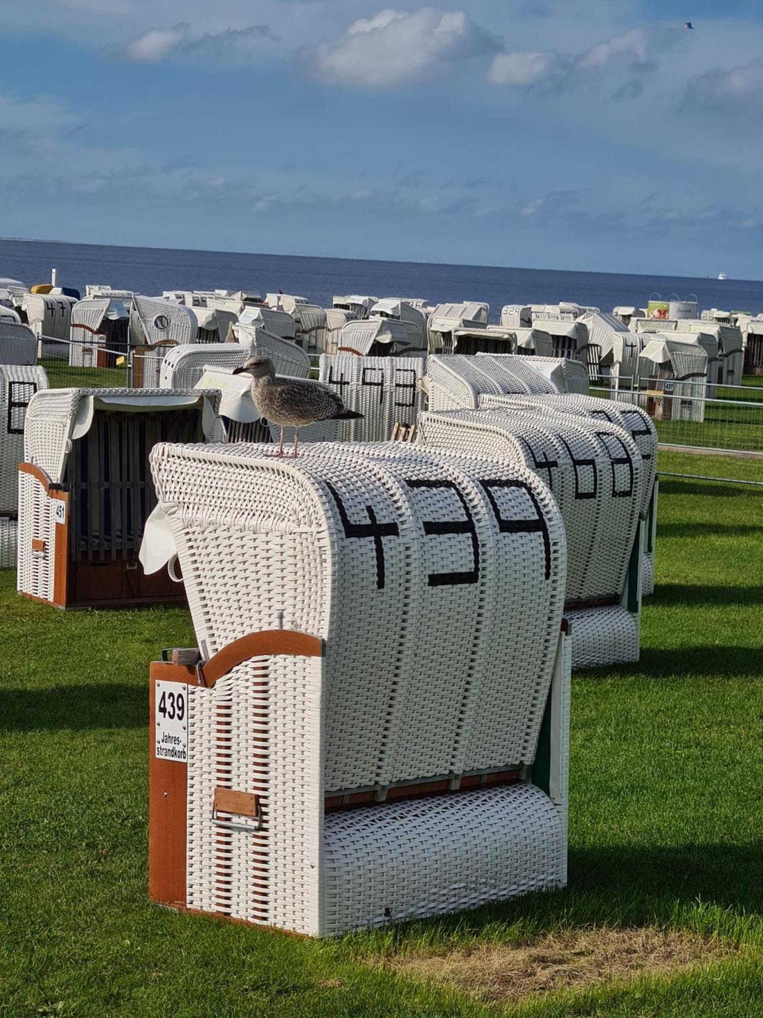 Ferienhaus Nordseeglück im Ferienpark Berumbur