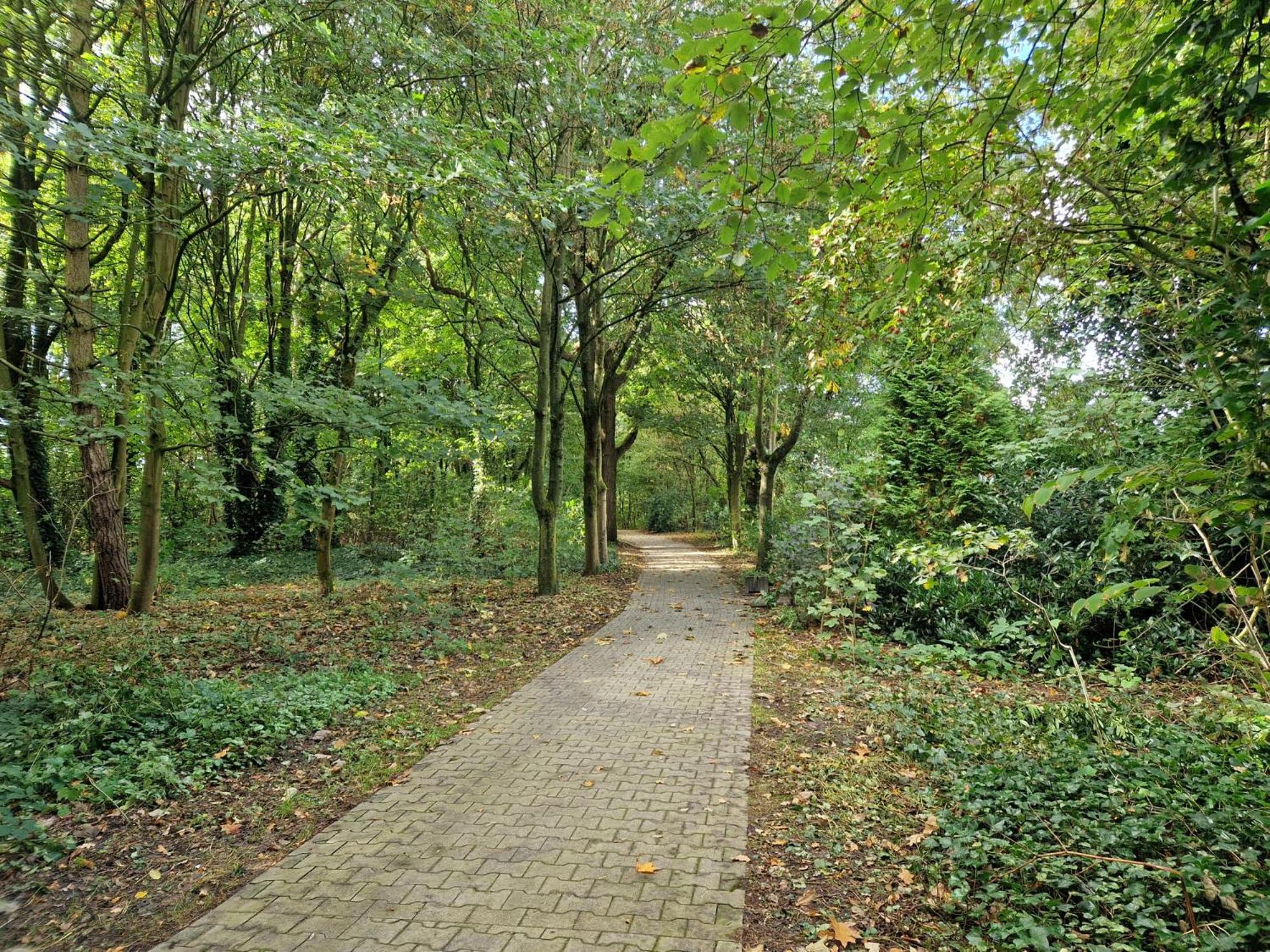Ferienhaus Nordseeglück im Ferienpark Berumbur