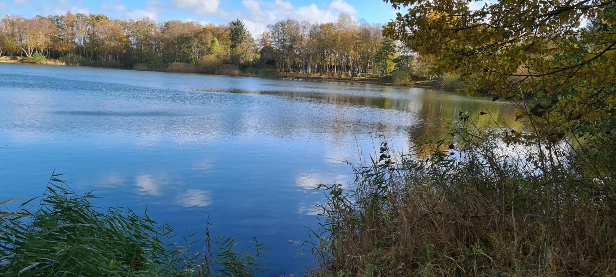 Ferienhaus Nordseeglück im Ferienpark Berumbur