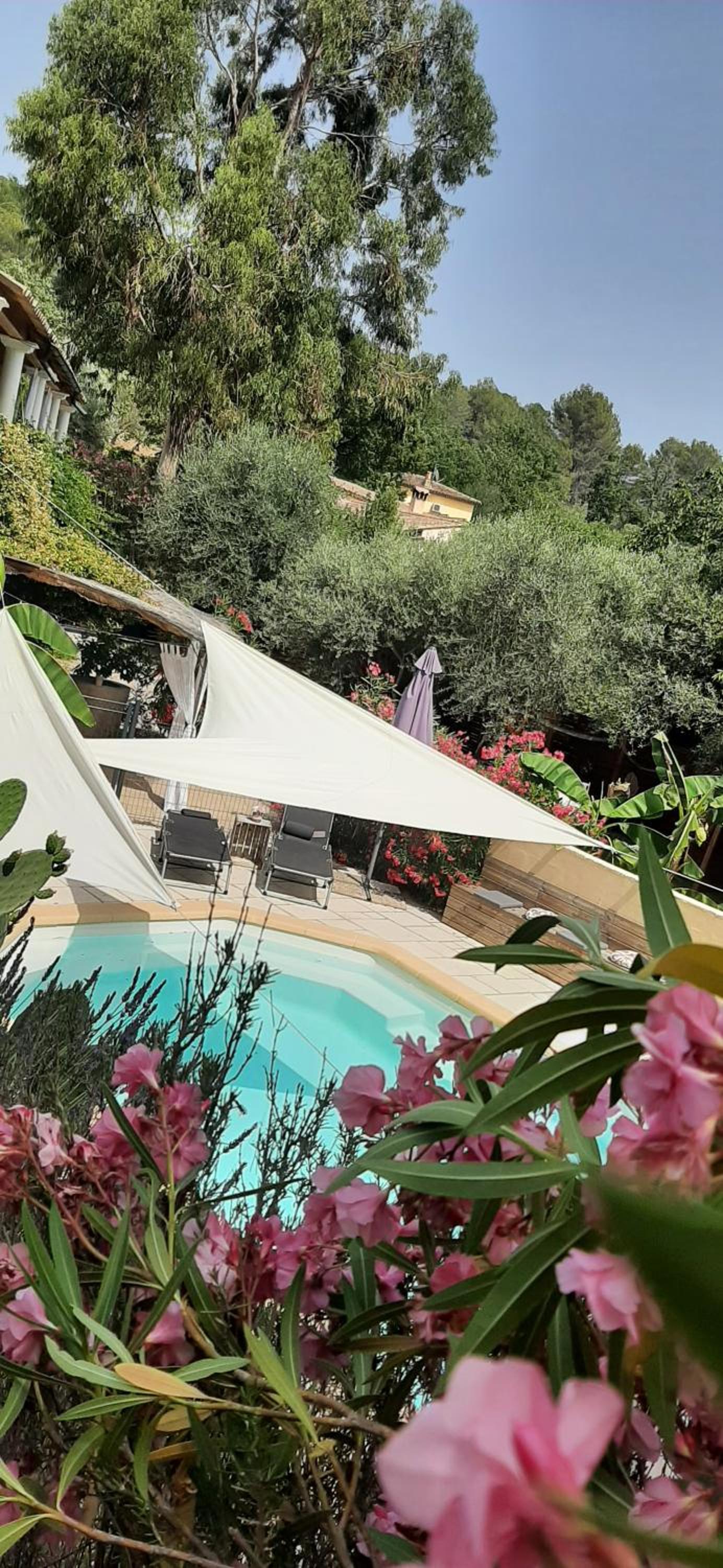 La Villa Jasmin view 3