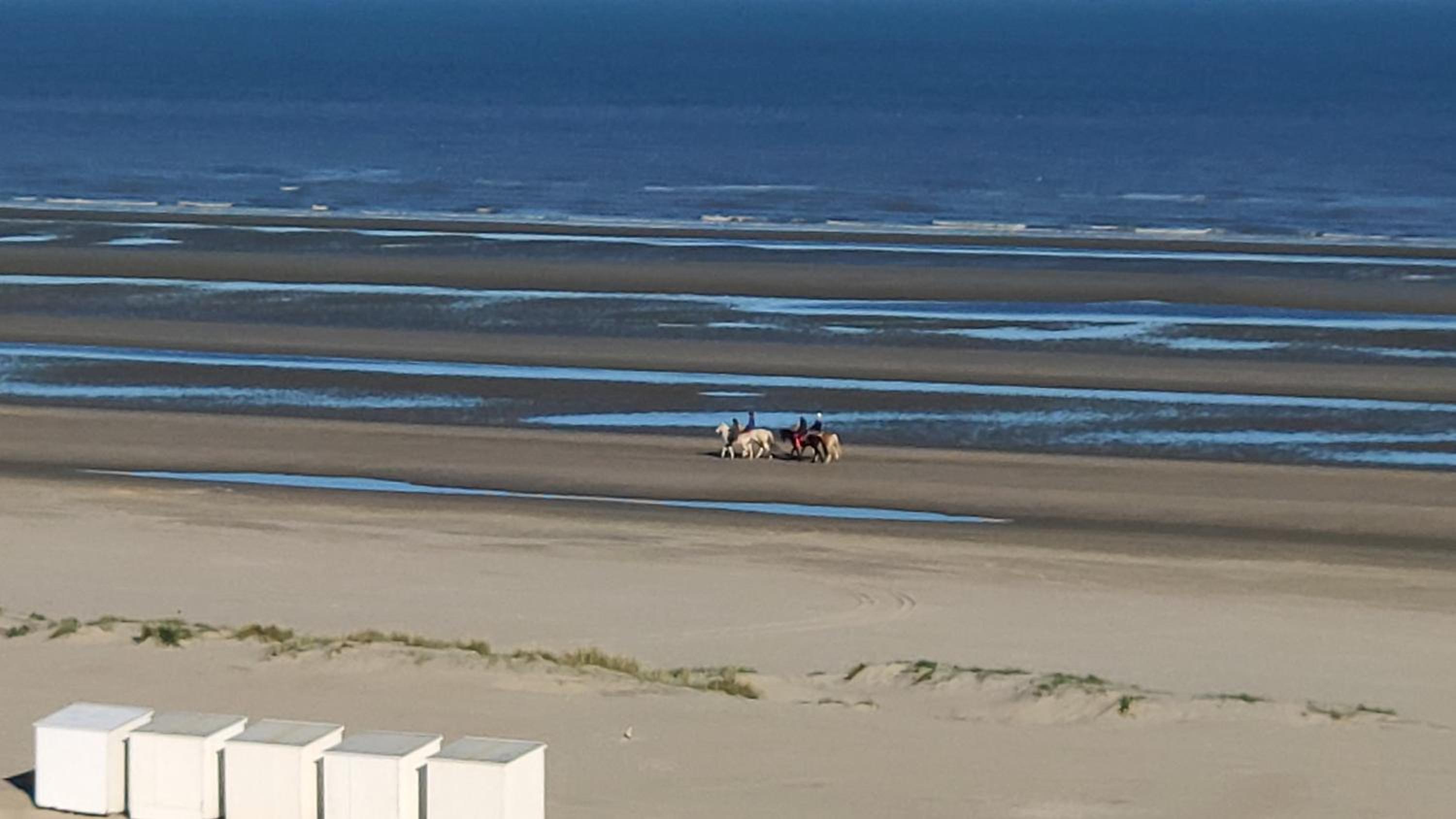 Zeezicht vanop het 6 de verdiep