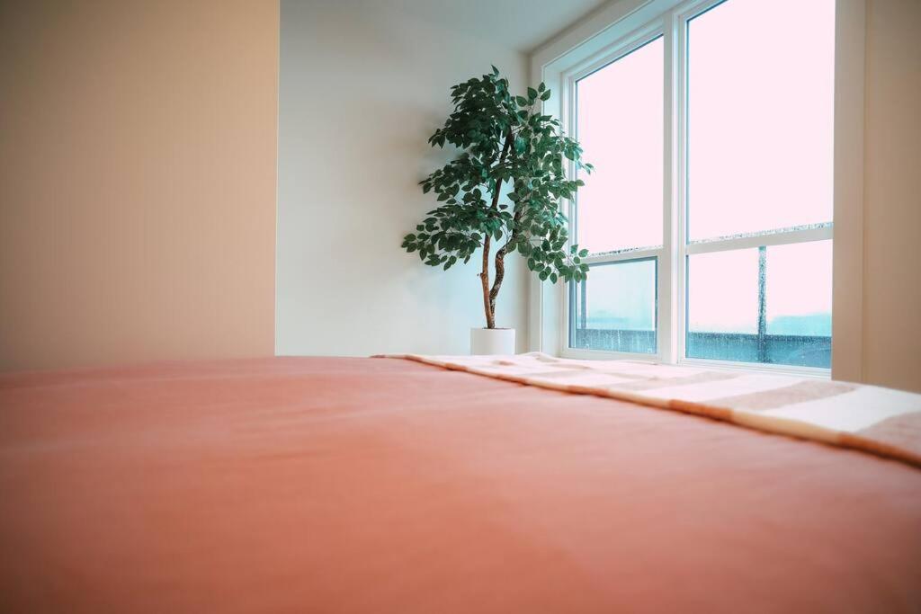 Chic Cozy Retreat - 2BR - Stunning North End Views