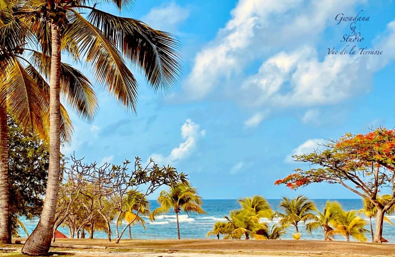 Accès Direct Plage, Vue Mer d'exception, Les Gwada Studios, Village Vacances