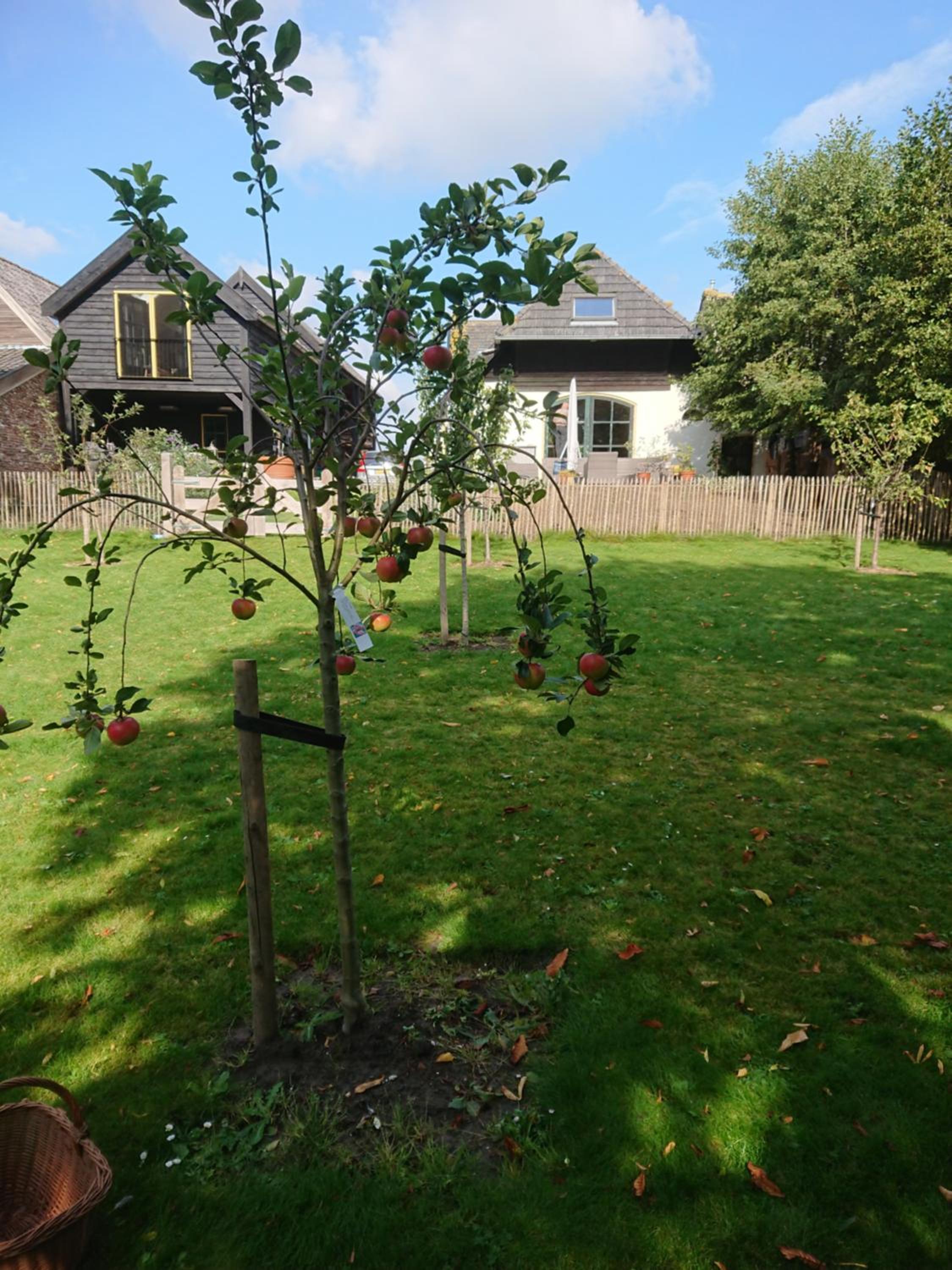 Photo 17