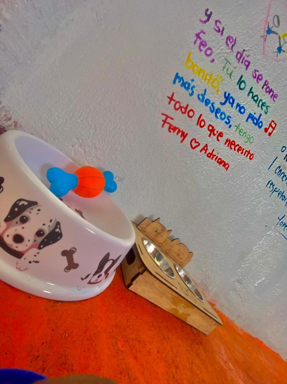 Acuarios Hostal