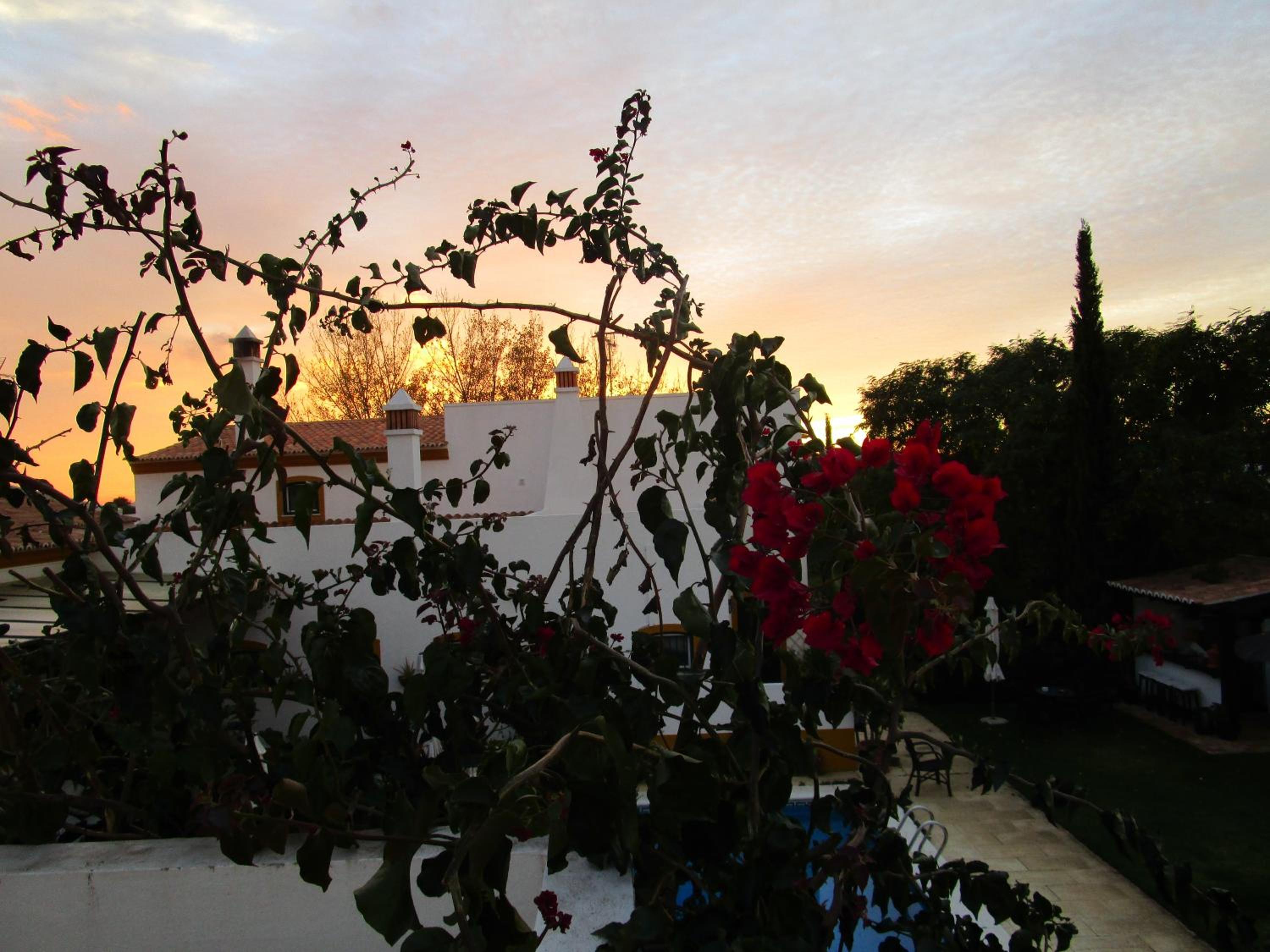 Photo 45