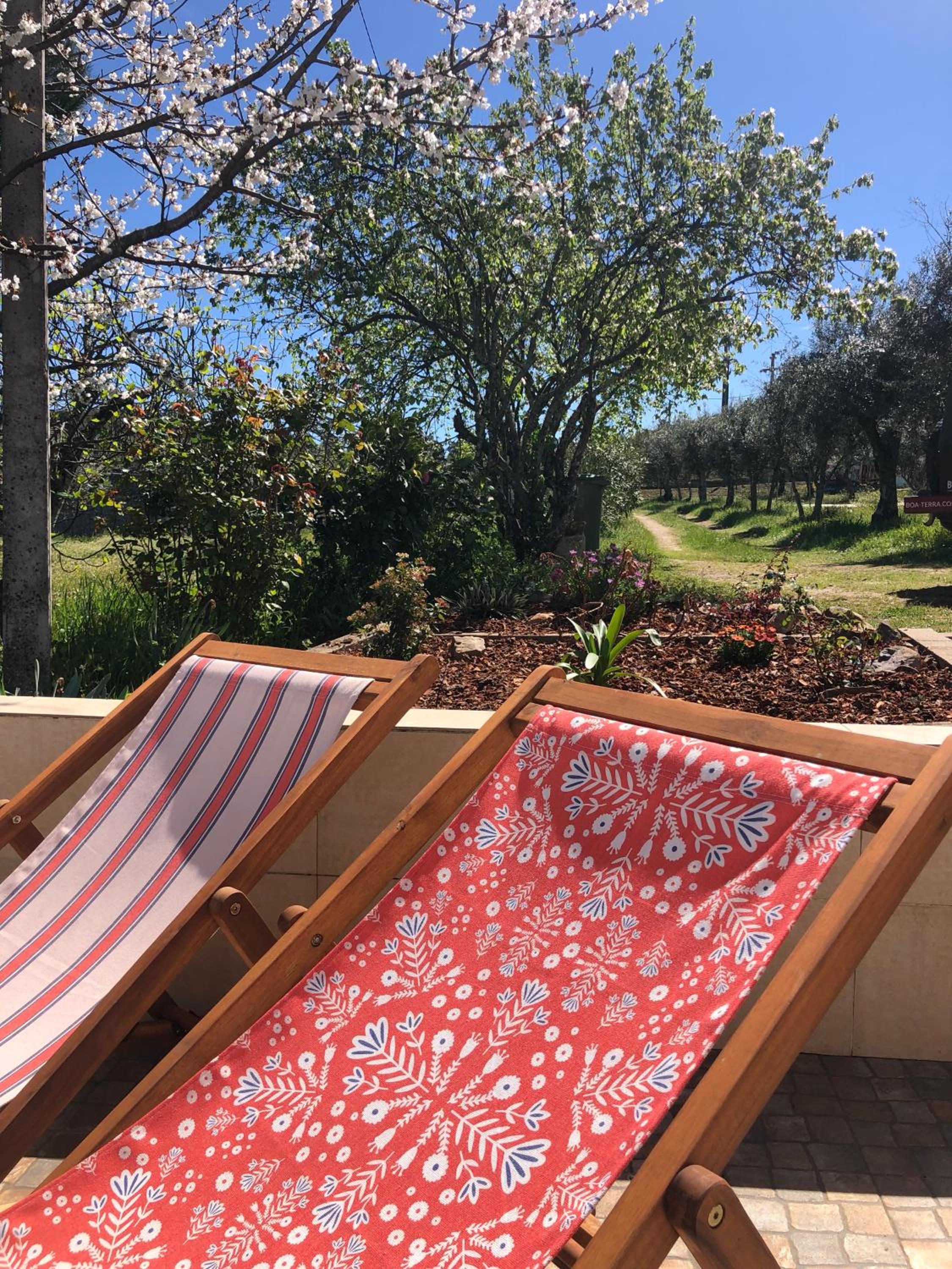 Ola Linda - Casa de Campo -