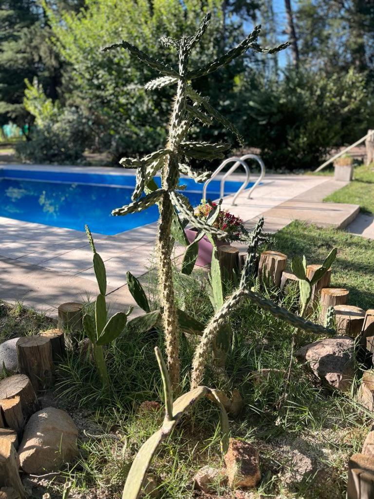 Escapada Exclusiva en Finca con Viñedos y Olivares Relájate en la Naturaleza con Confort y Encanto