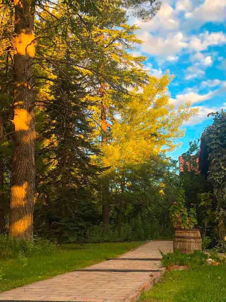 Escapada Exclusiva en Finca con Viñedos y Olivares Relájate en la Naturaleza con Confort y Encanto