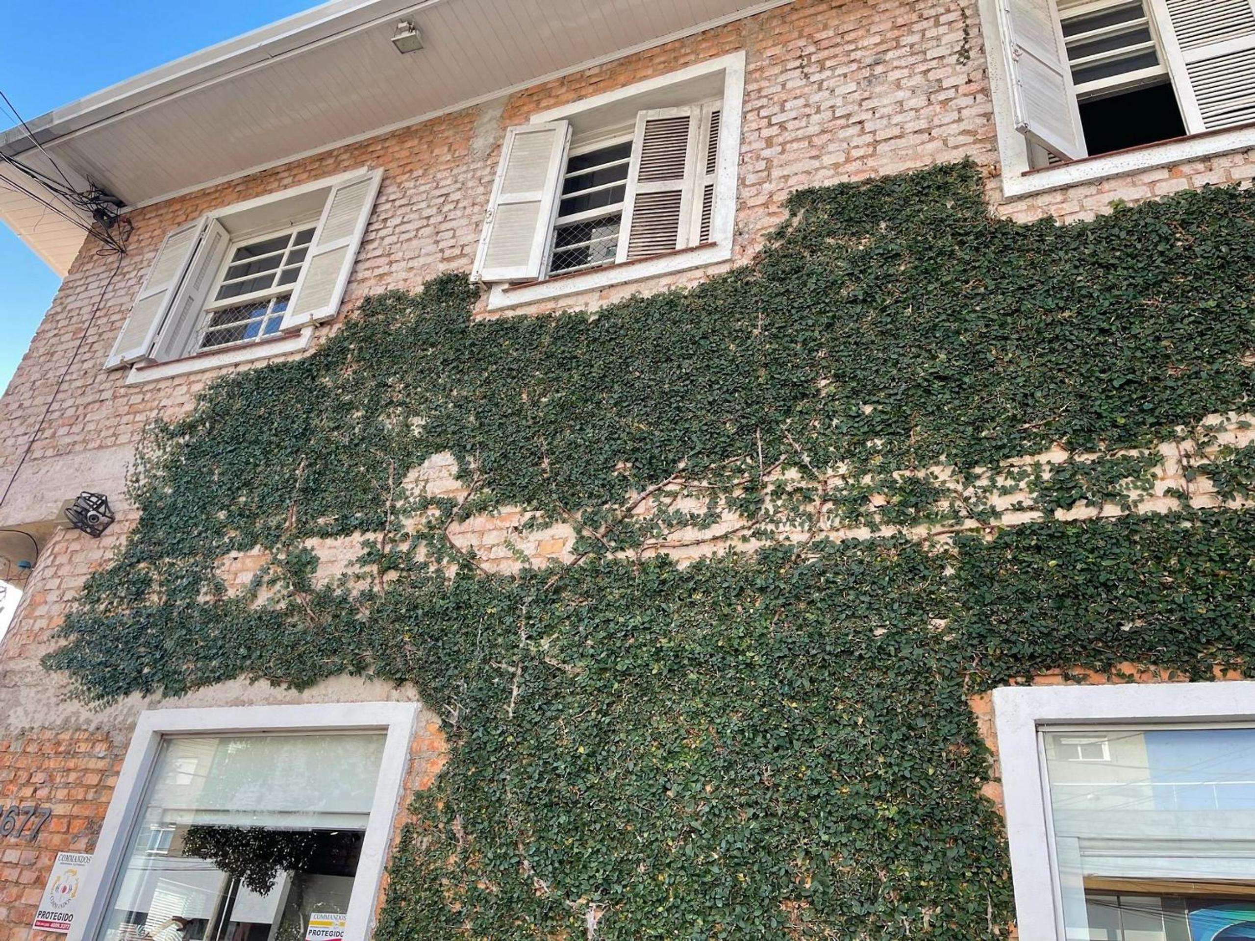 Prédio Histórico na Rio Branco