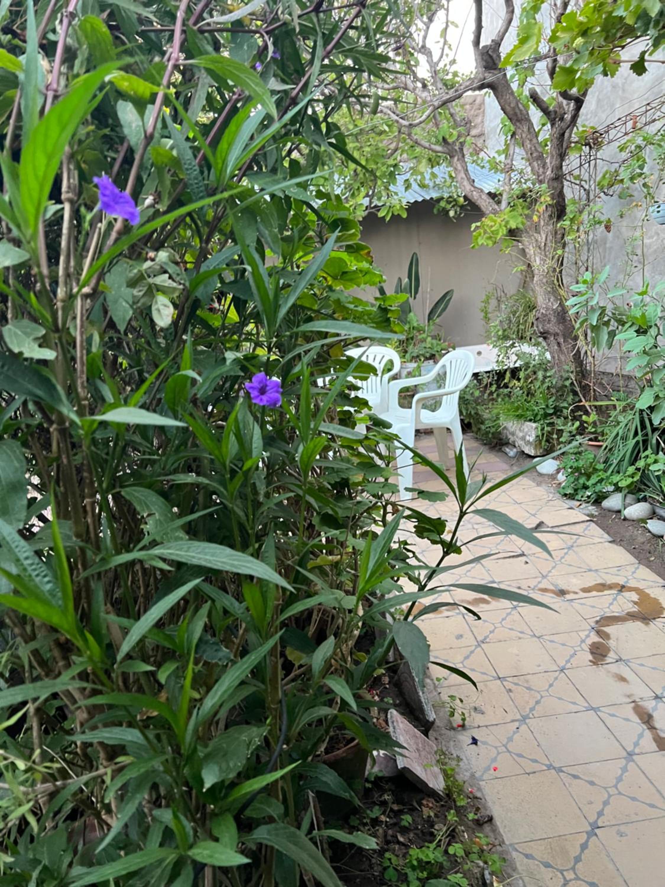 La casa de la Abuela