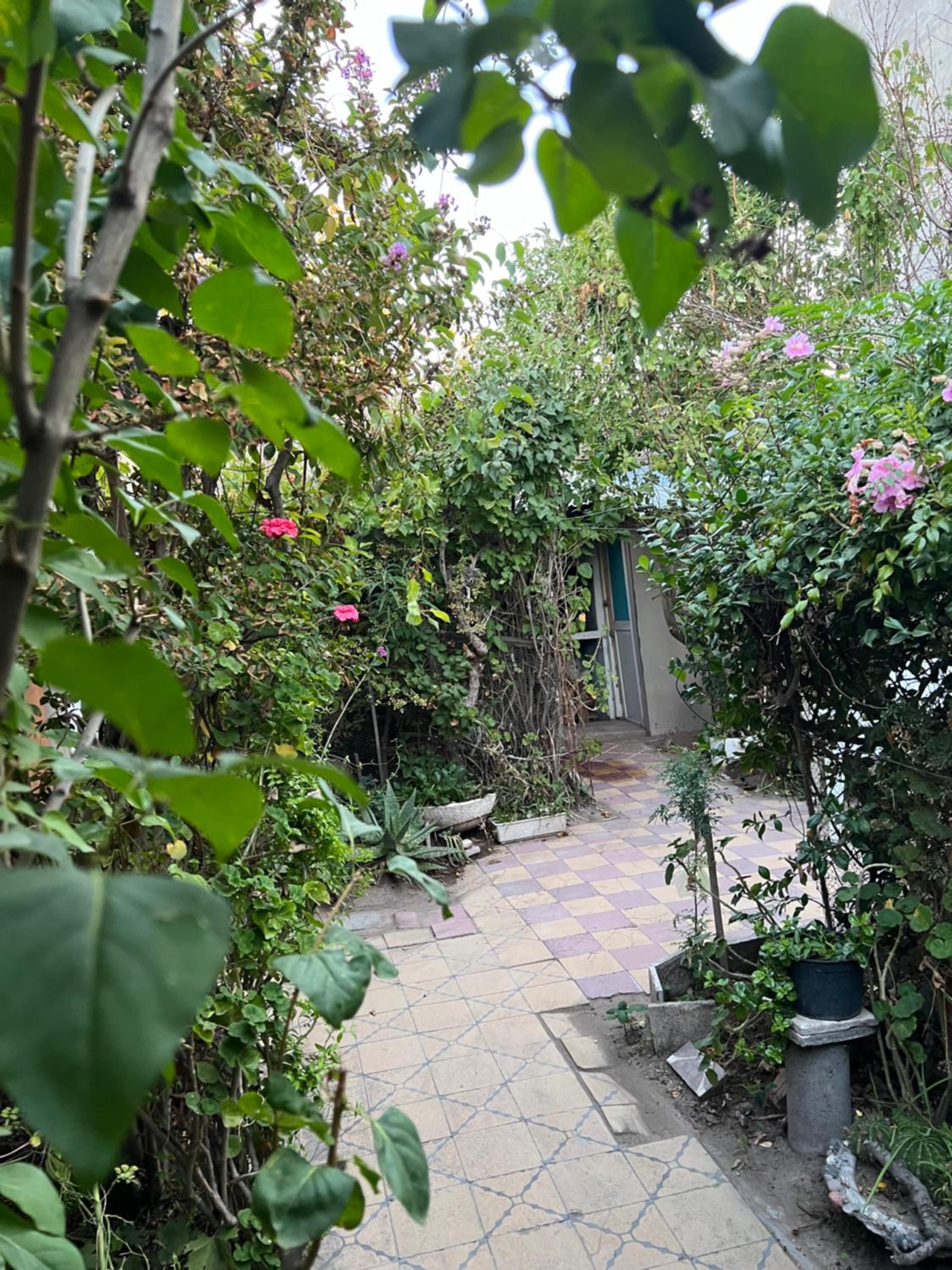 La casa de la Abuela