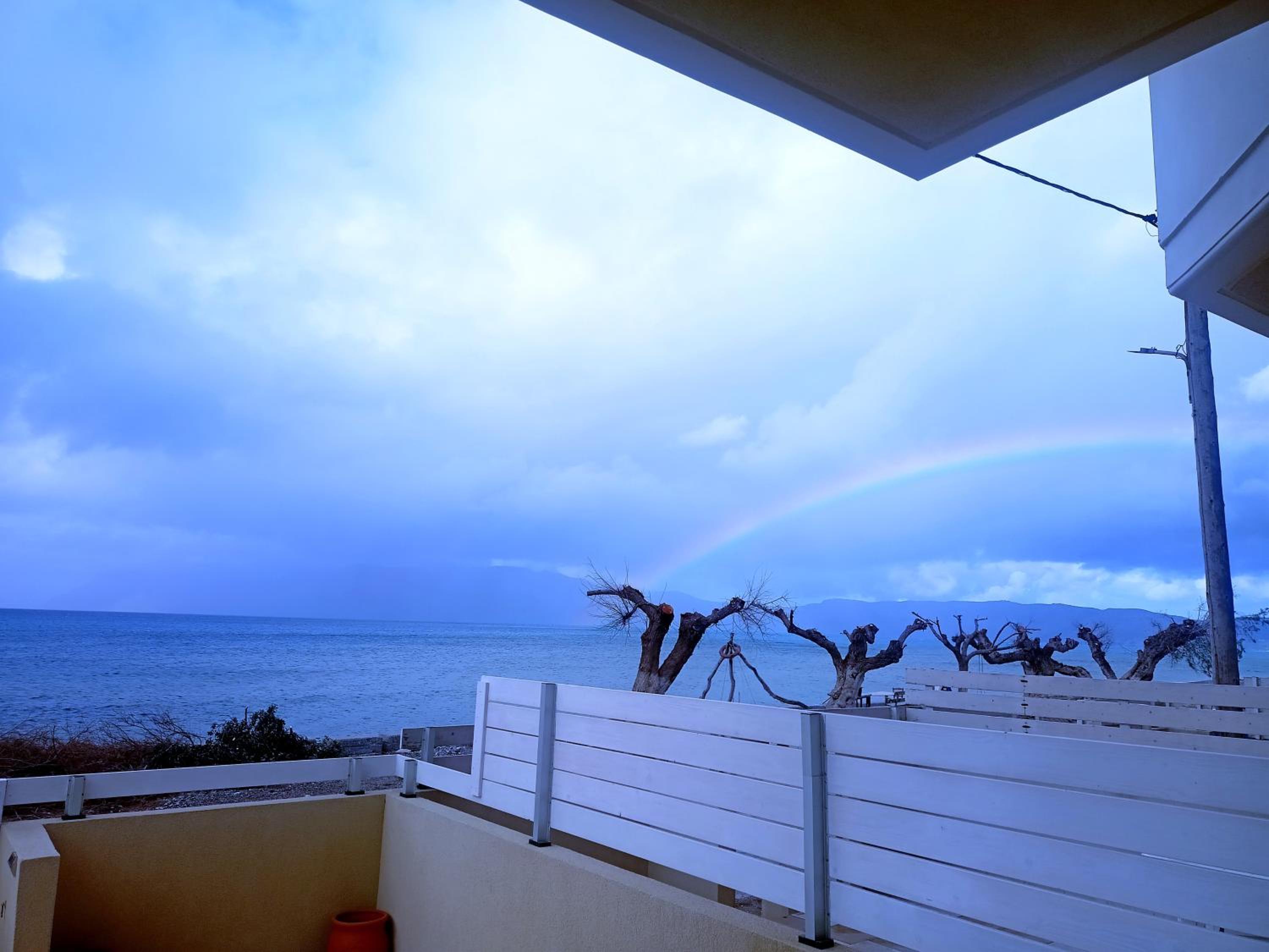 Beach House