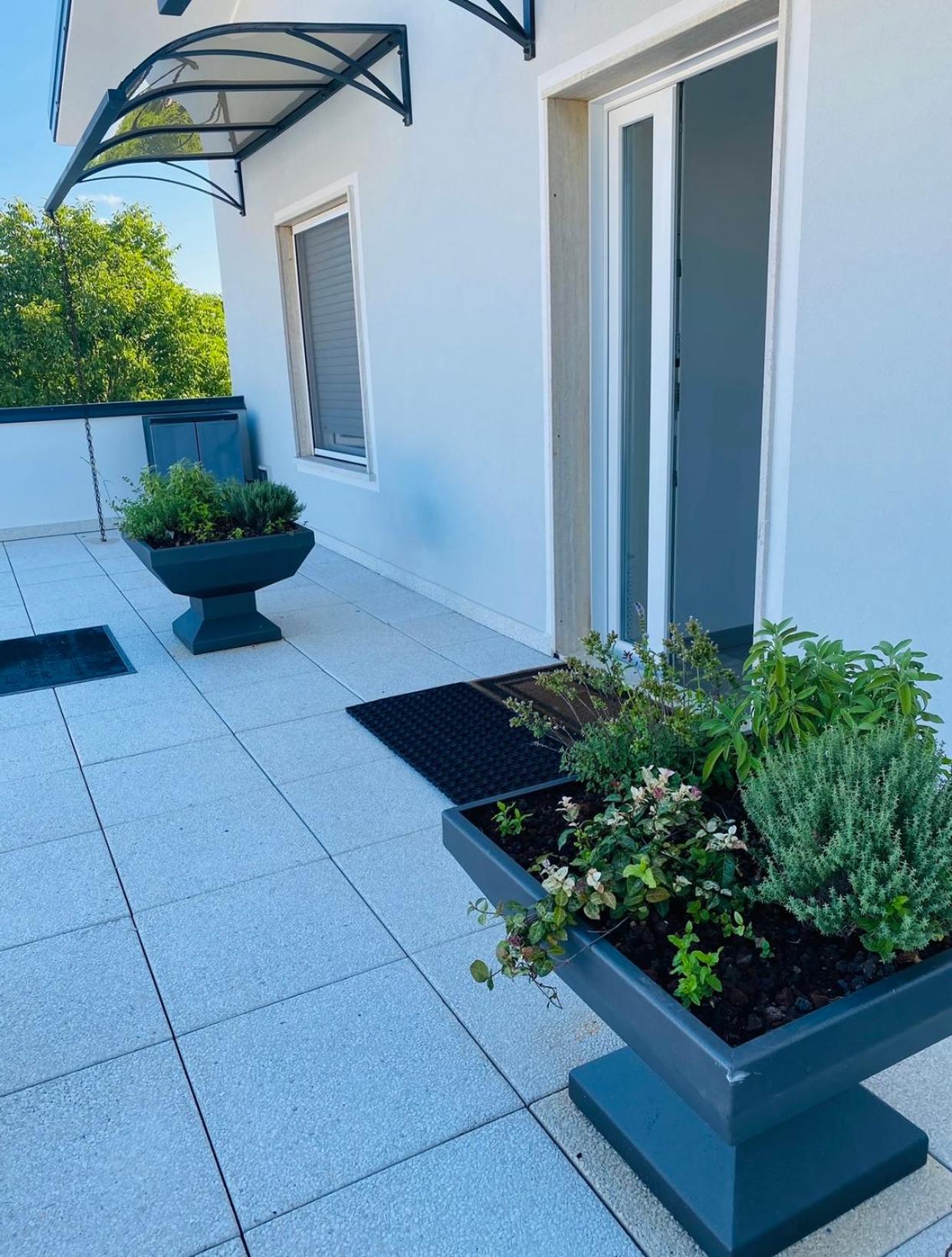 Green House in campagna - Property Image 78