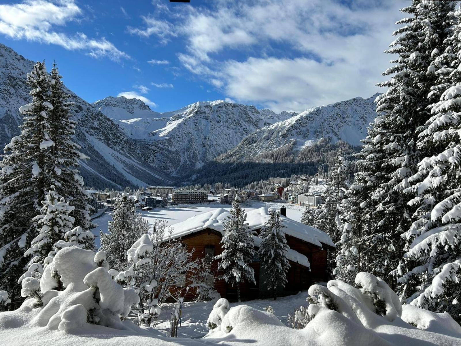 Höhwald - Maranerhang