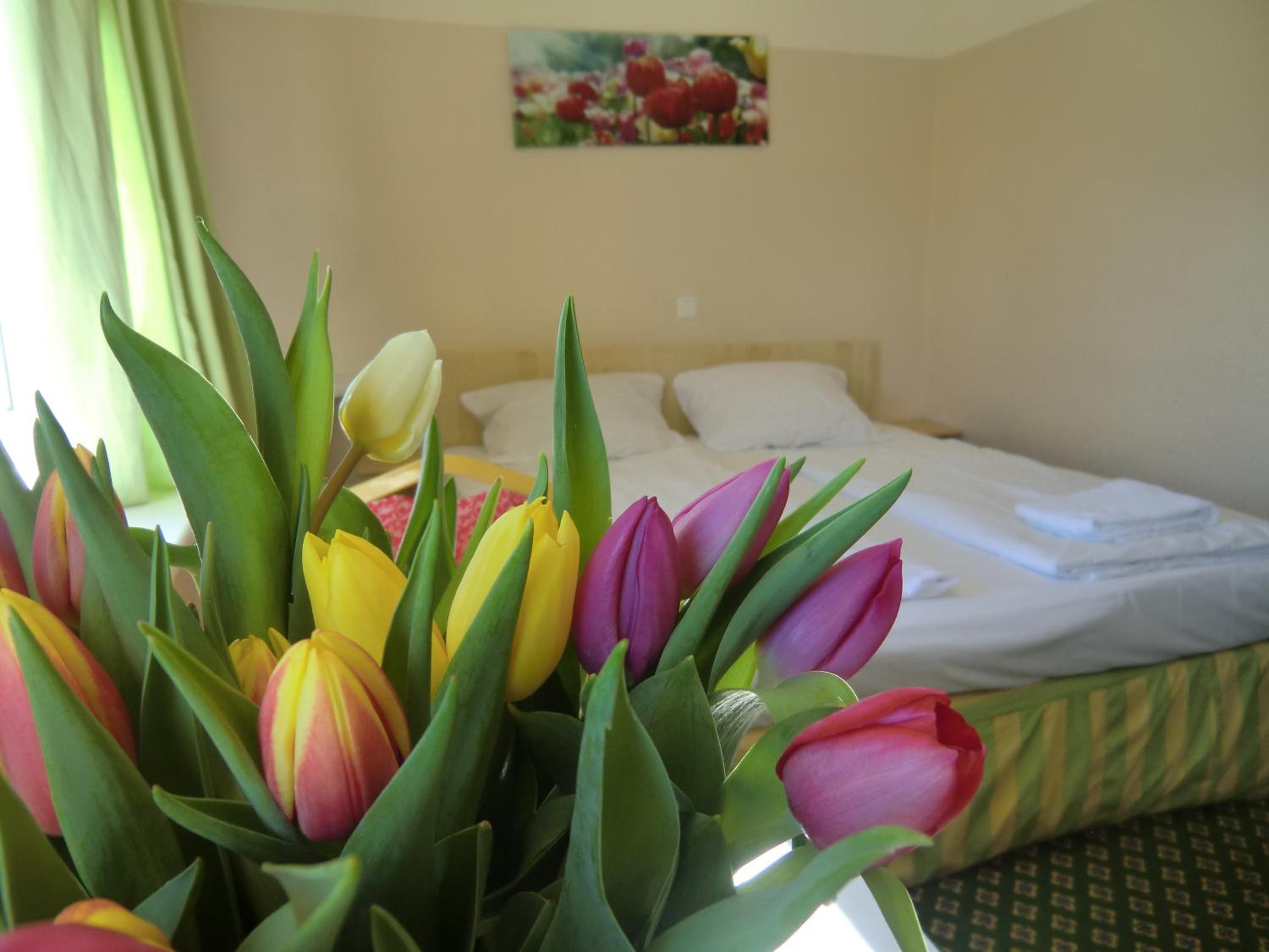 Offenbach Vacations - Panorama Hotel Frankfurt Offenbach Sud - Property Image 1