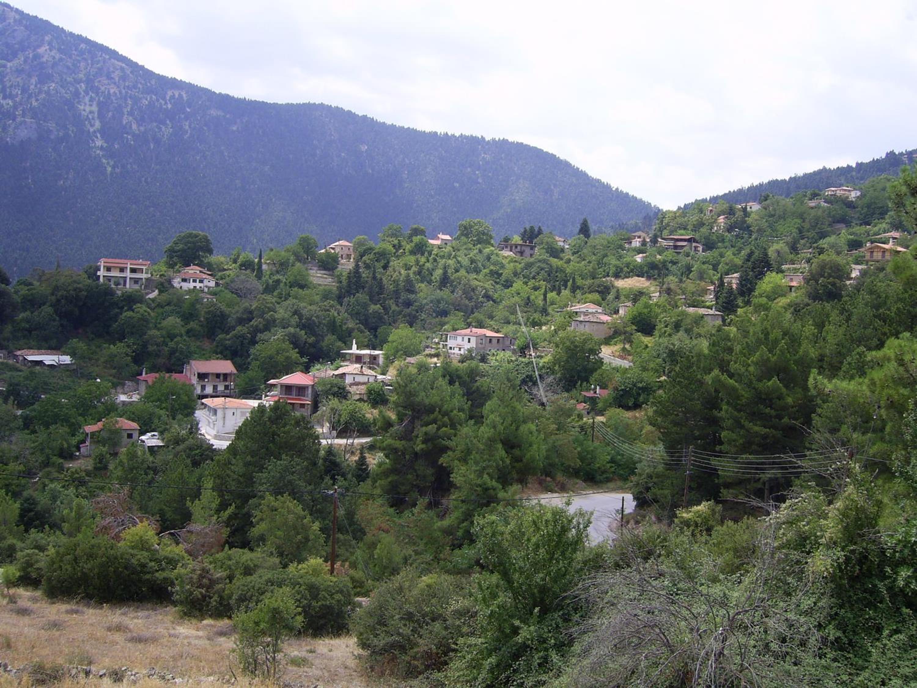 Guesthouse Kastania Korakis