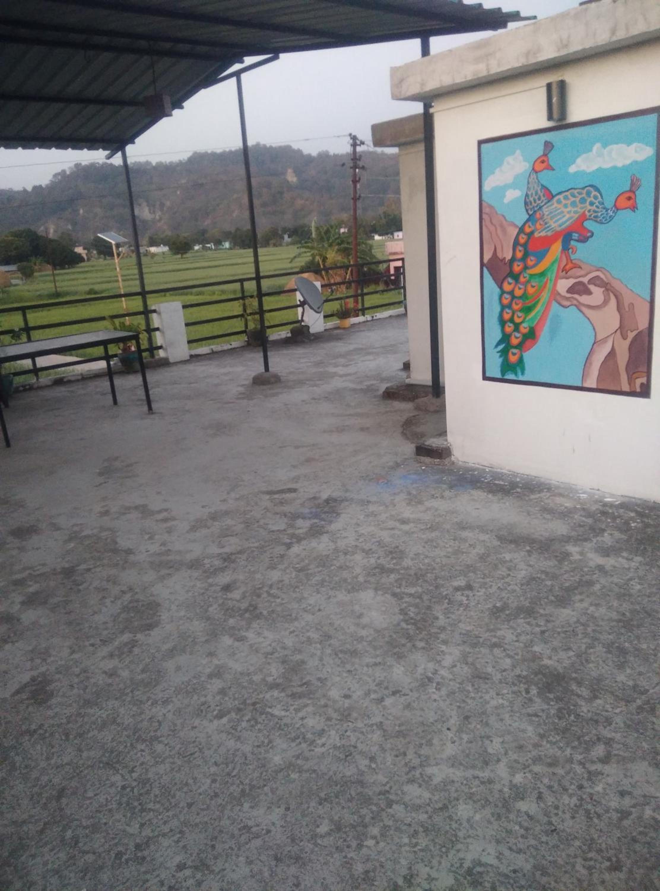 Photo 19