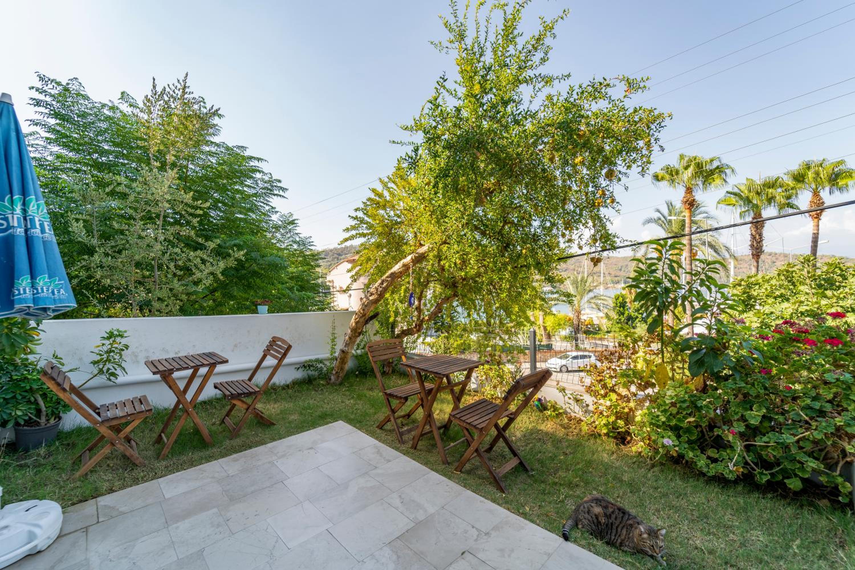 Nakas Süitler - Image 47