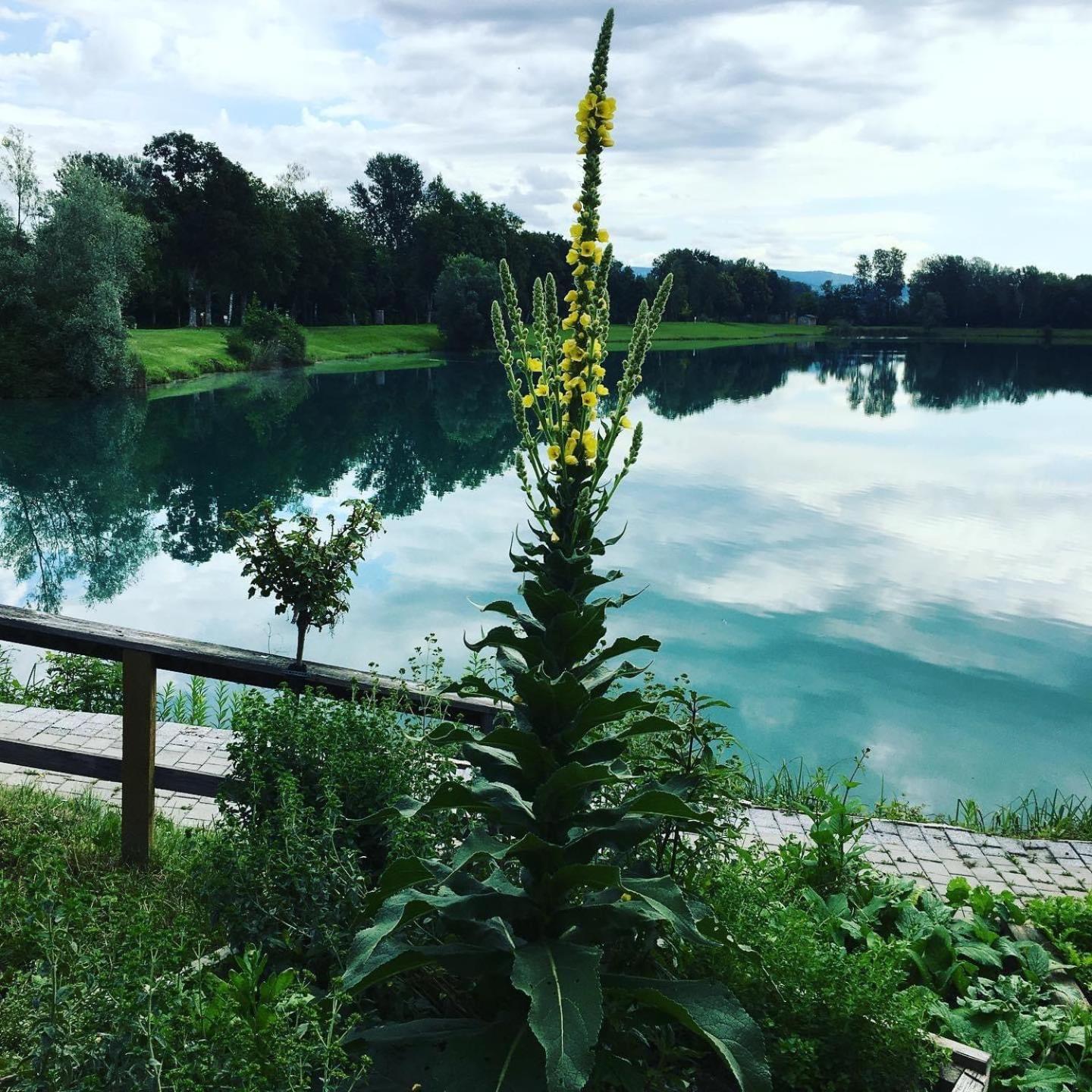 Heurigenbar