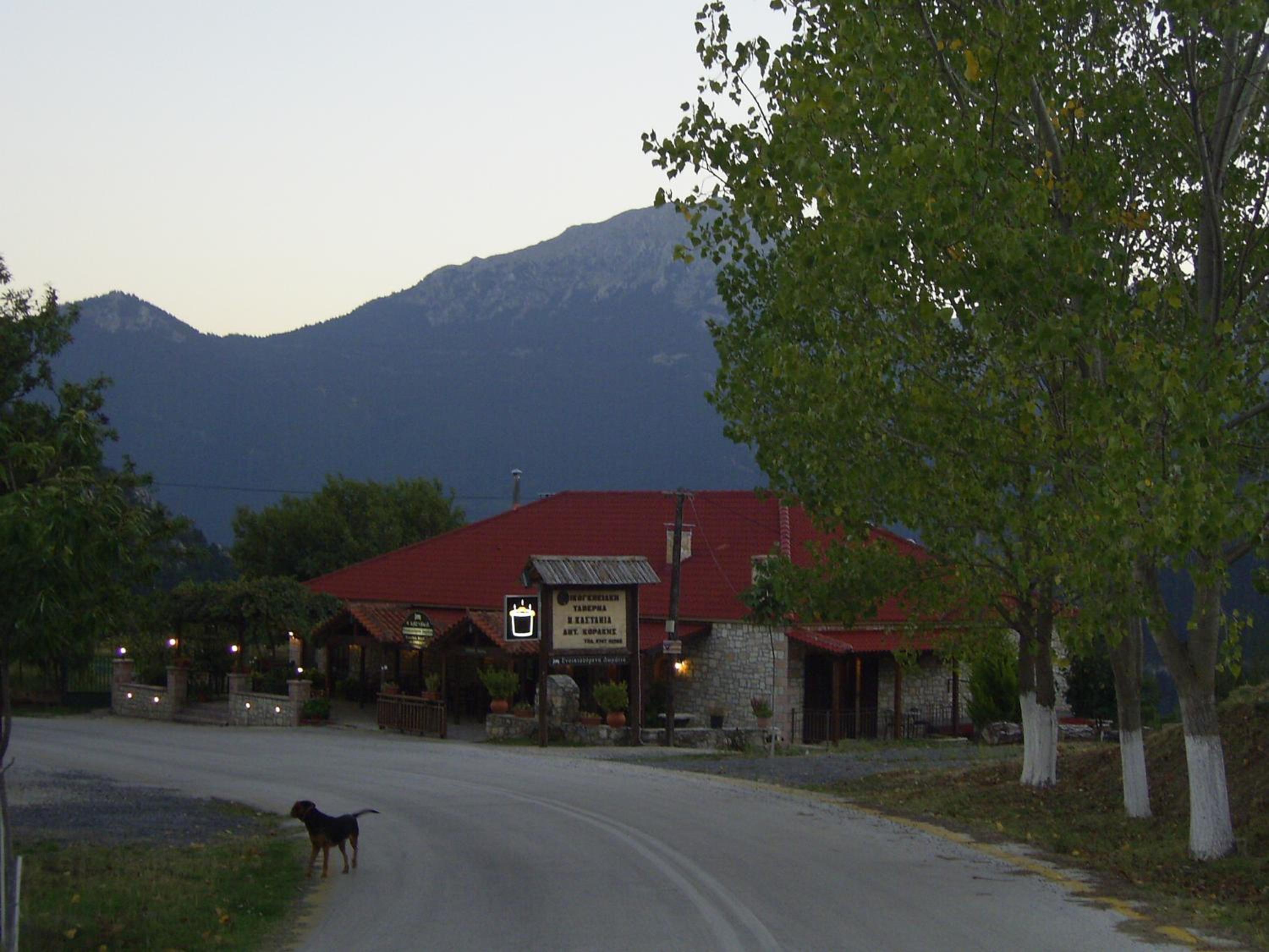 Guesthouse Kastania Korakis