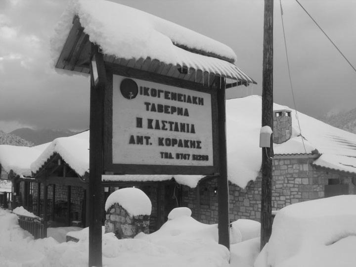 Guesthouse Kastania Korakis