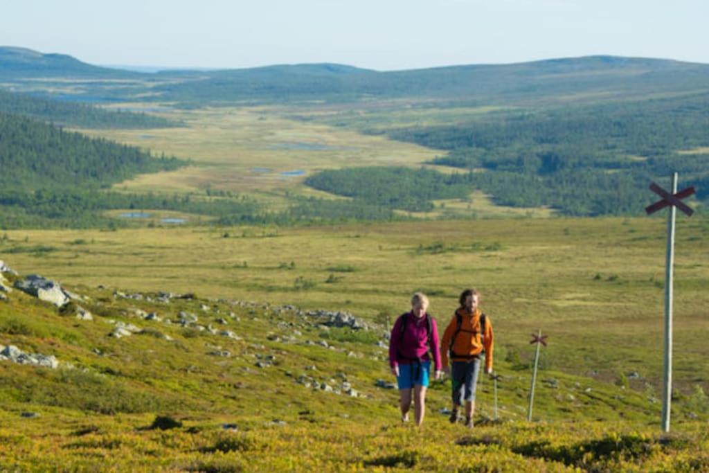 Björnrike Vemdalen. Mitt i backen view 5