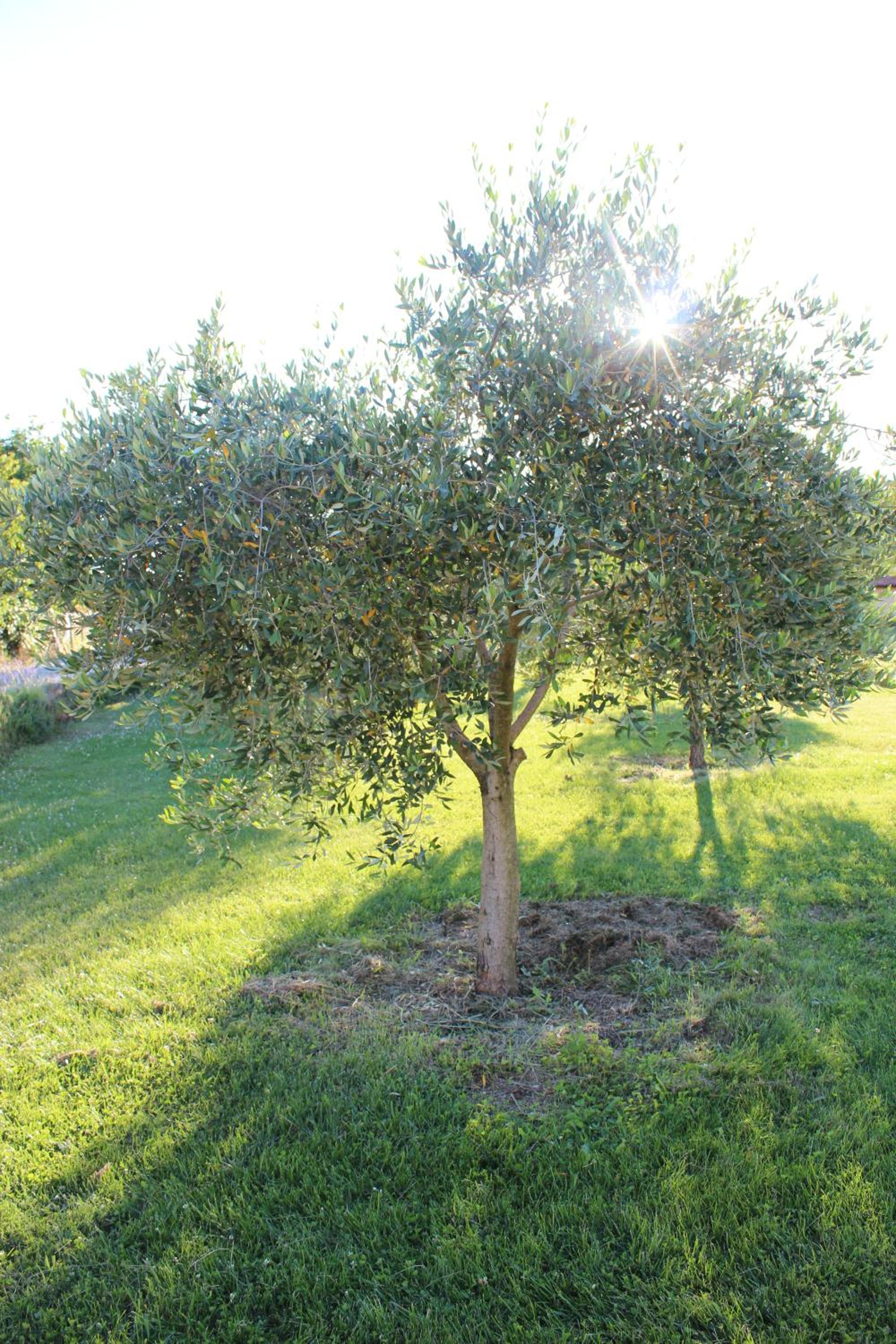 Photo 25