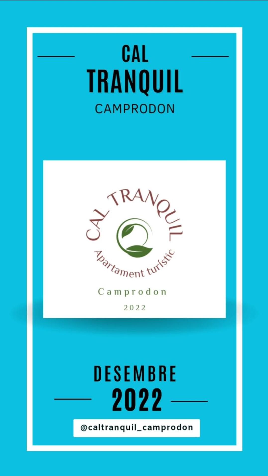 CAL TRANQUIL Camprodon, acollidor àtic al centre
