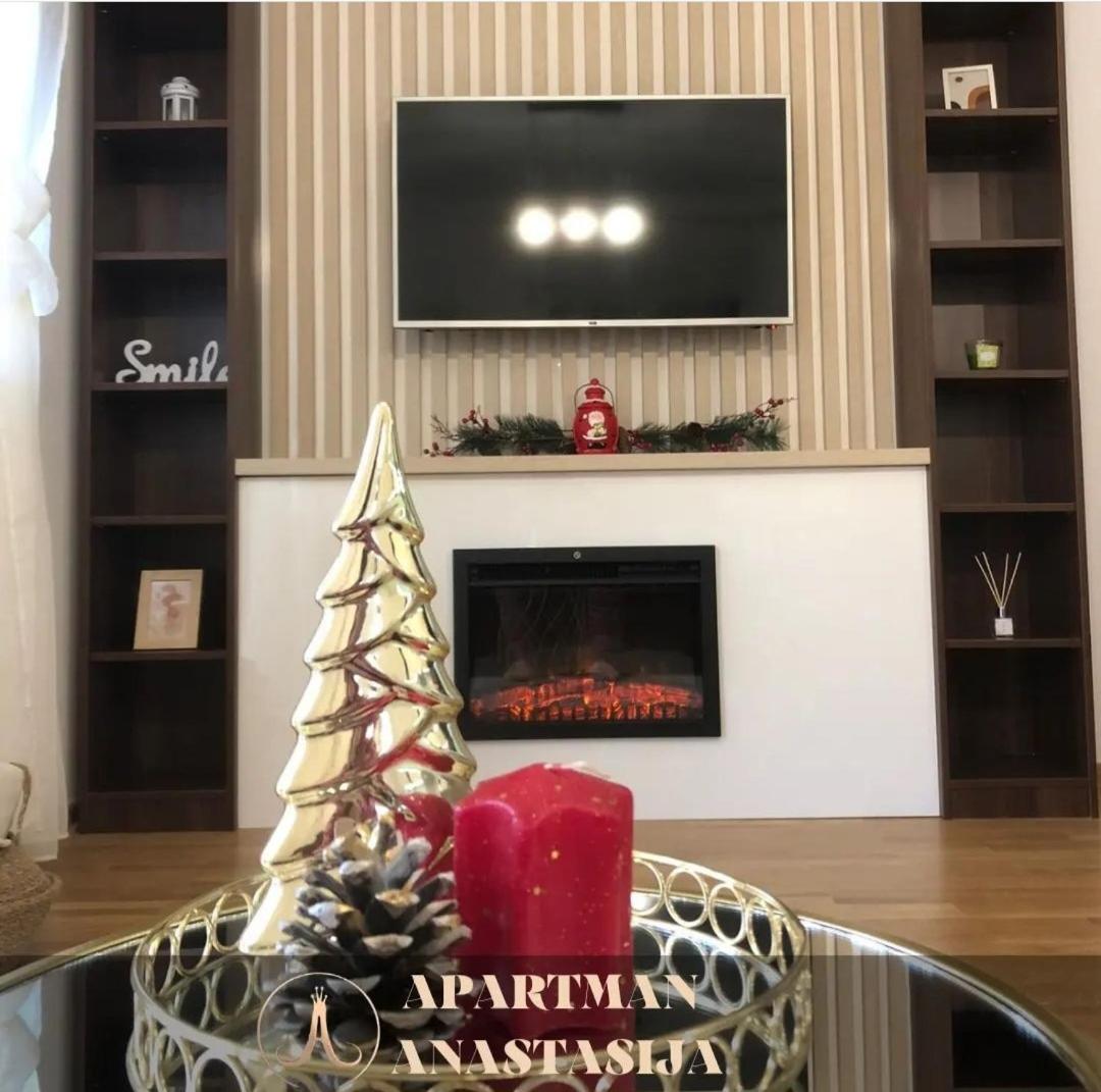Apartman Anastasija Vrnjačka Banja view 4