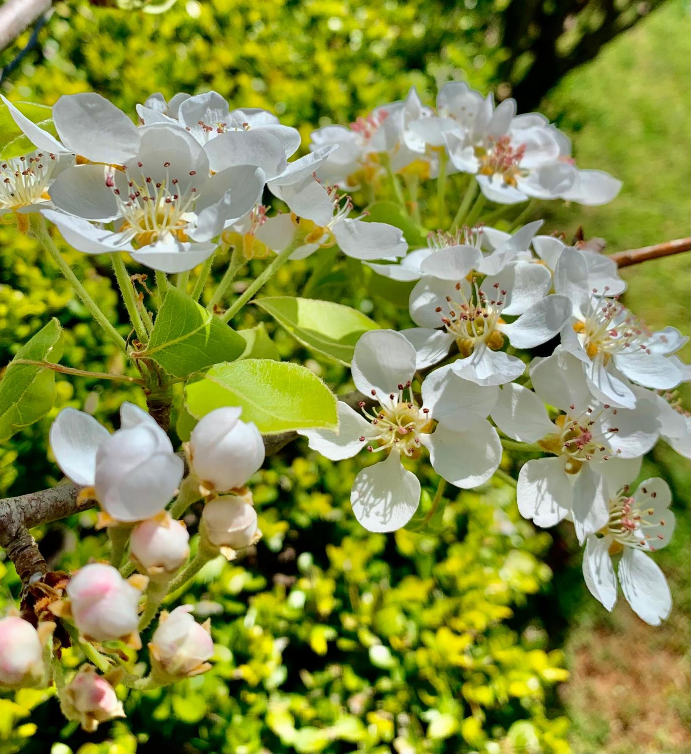 Photo 45