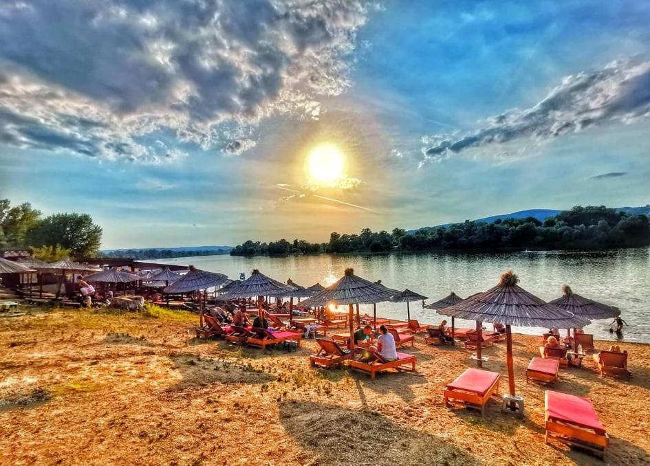 Apartman Todor