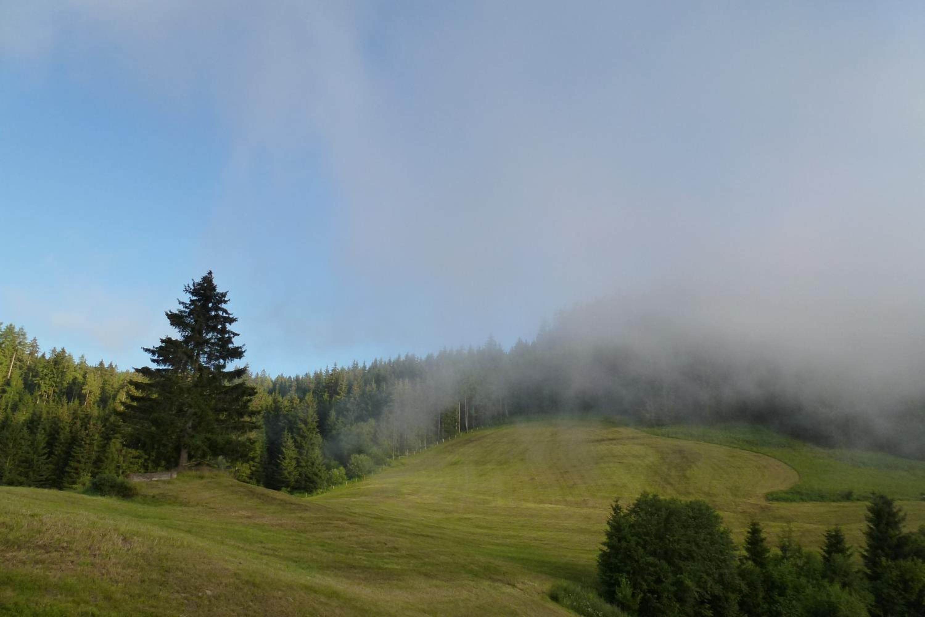 Almhütte - Schwaig