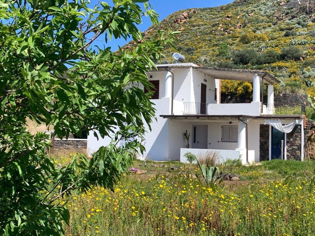 La casa blu exclusive