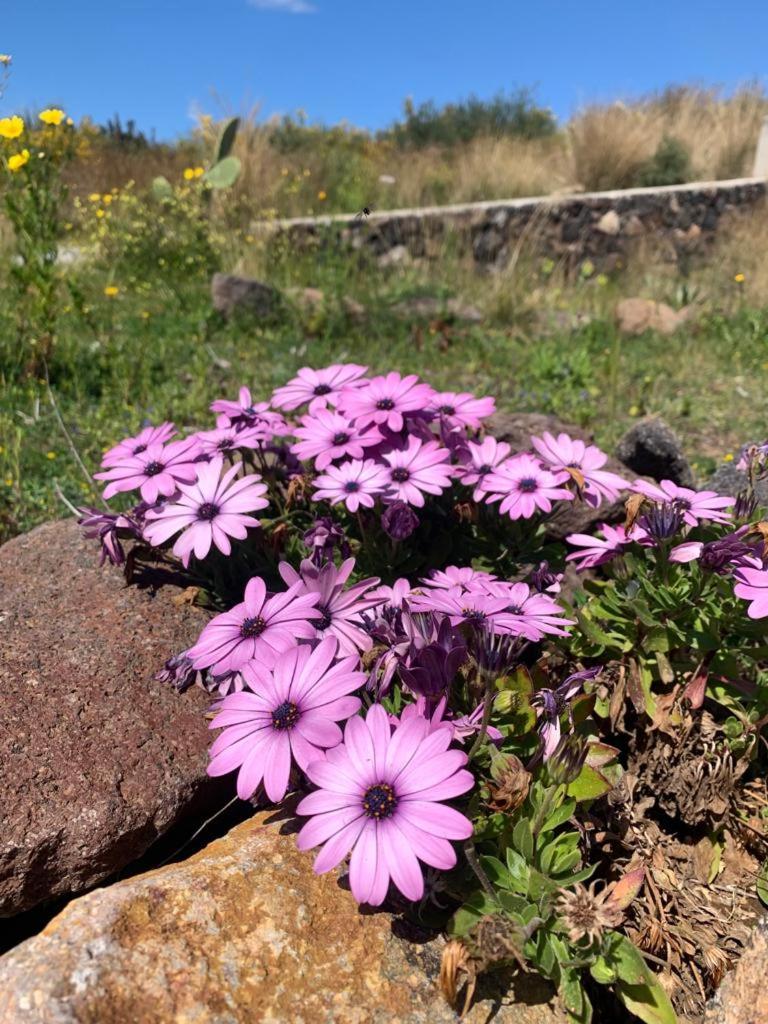 La casa blu superior photo 2