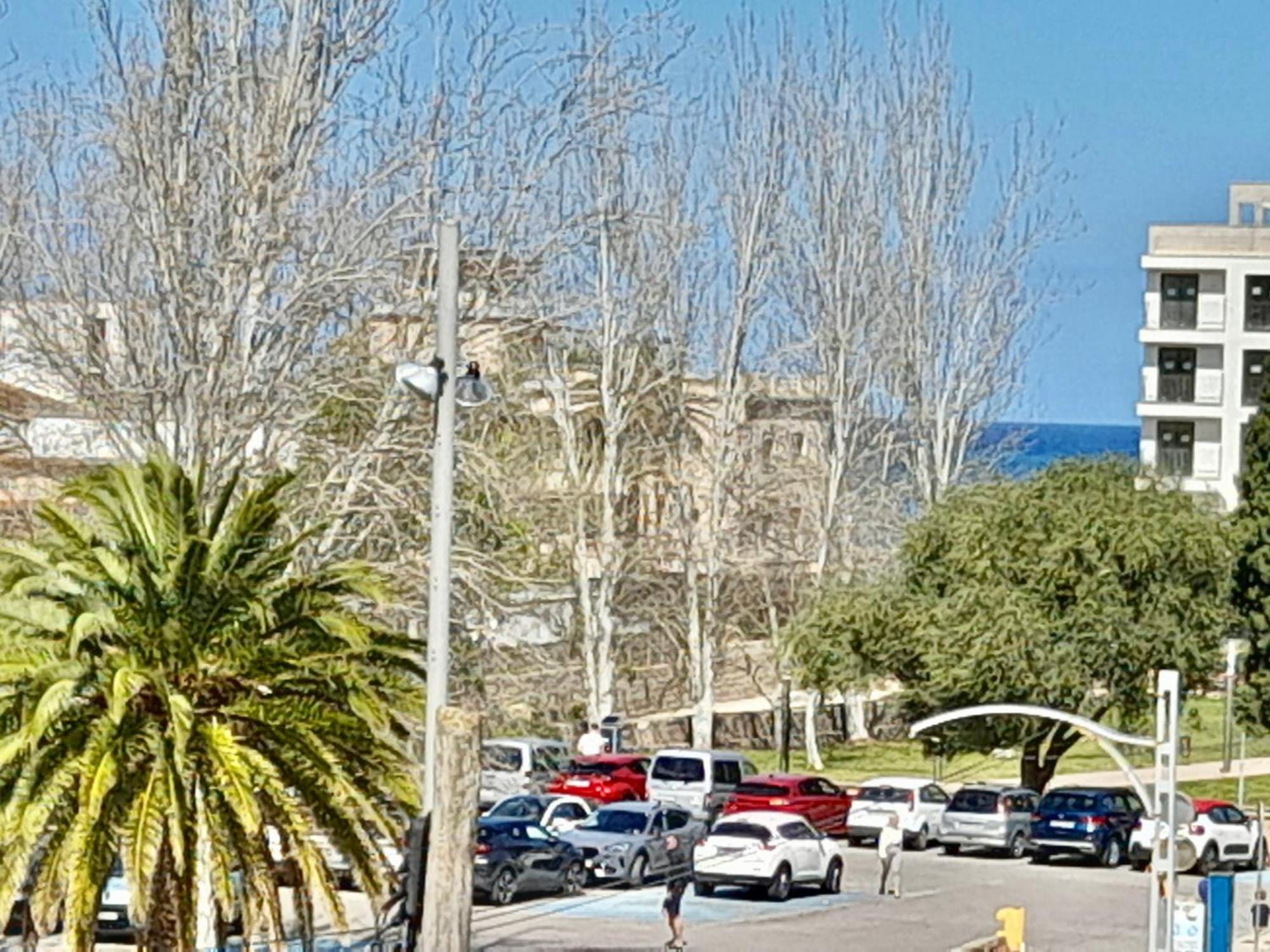 Primavera House Port Sóller formerly Sol Port Sóller