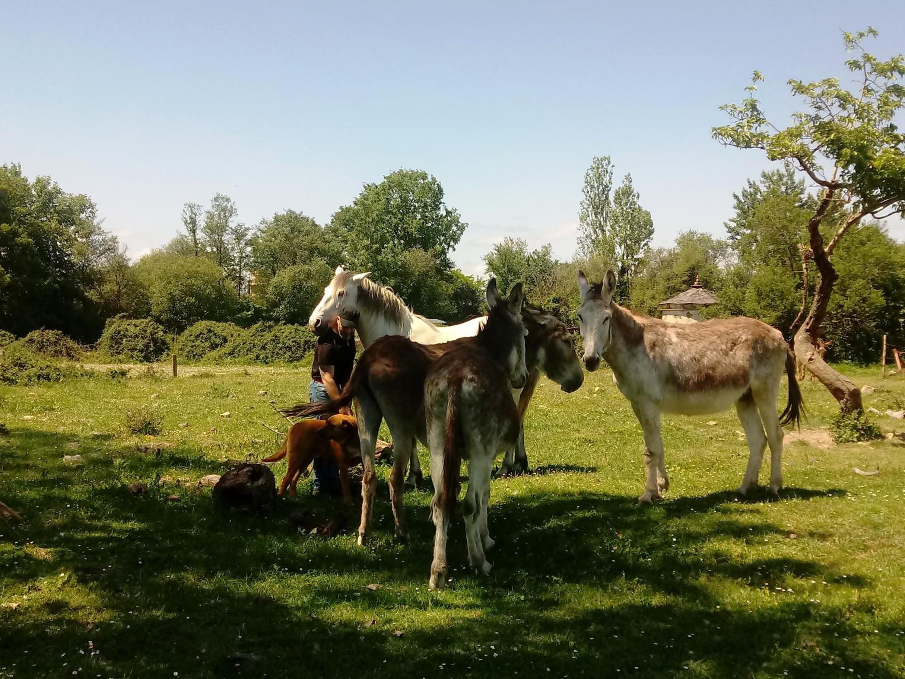 Molinos de Antero