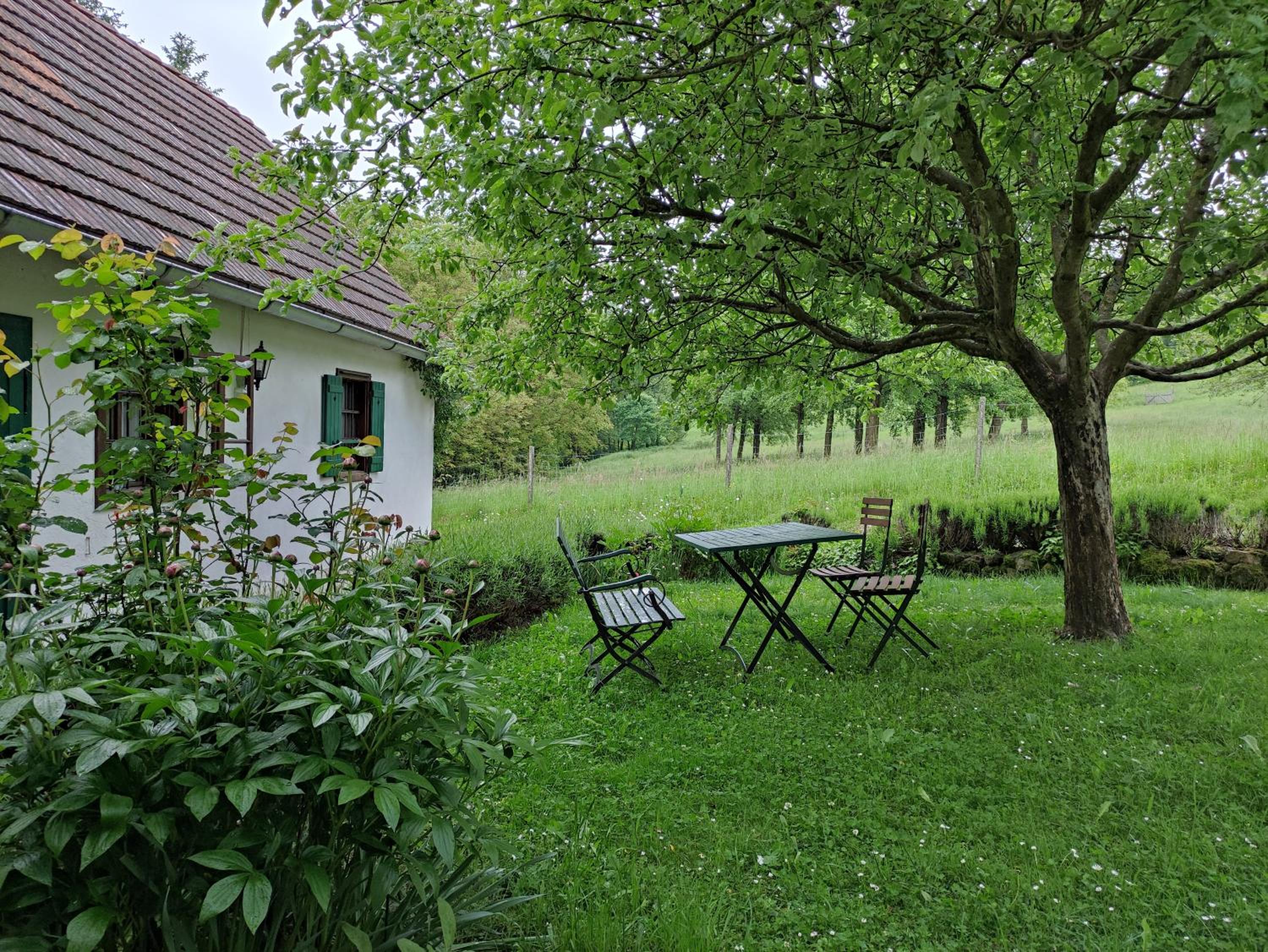 Lamplberg