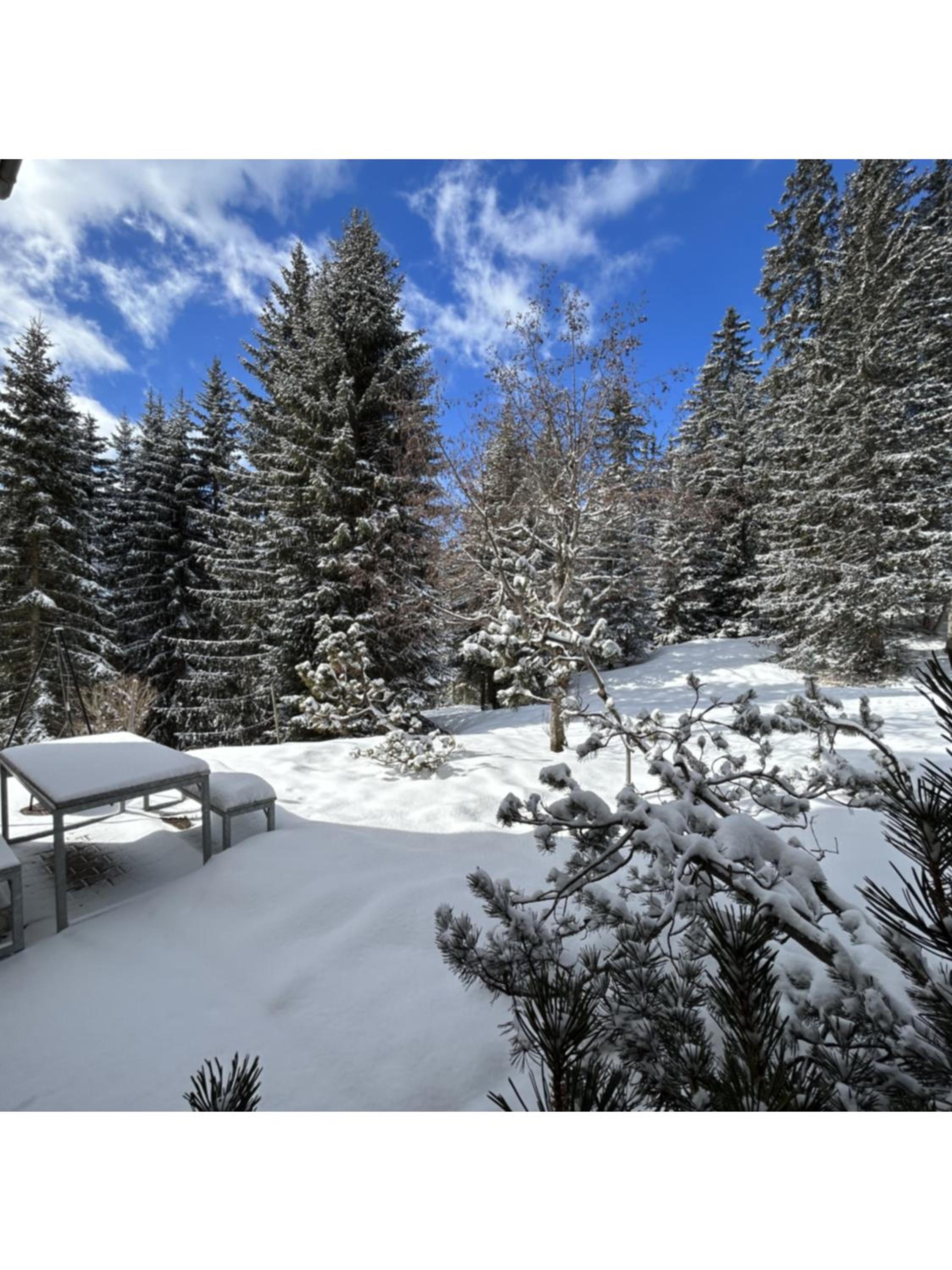 Höhwald - Maranerhang