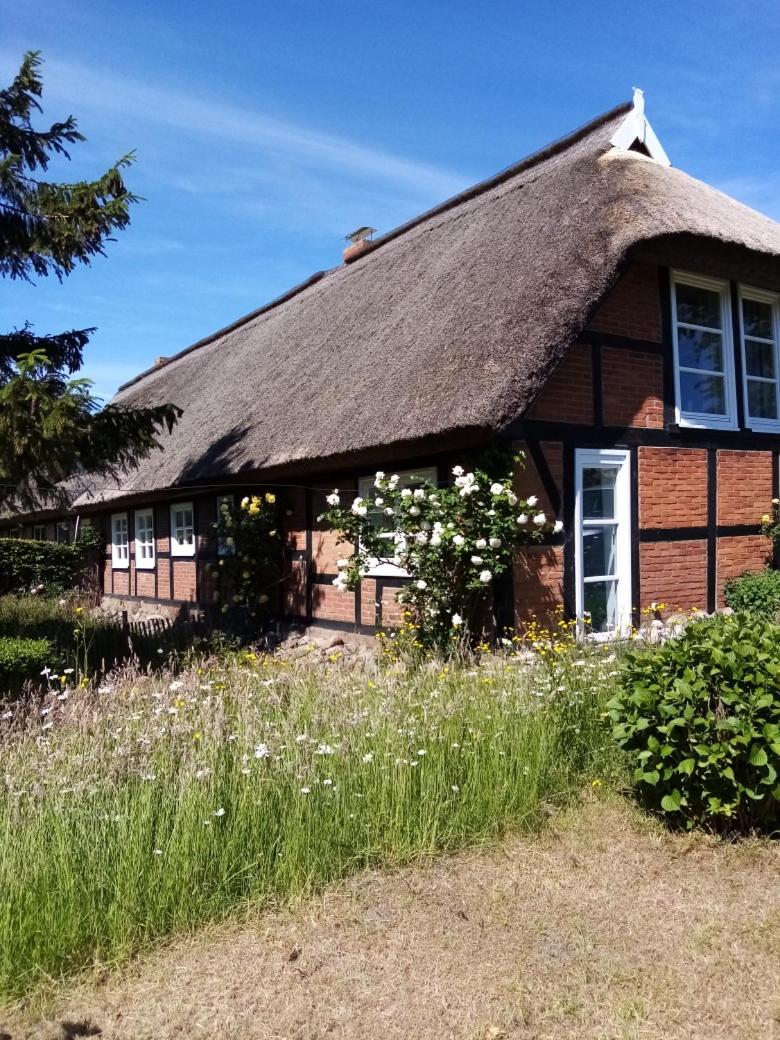 Ferienhaus Nostalgische Auszeit