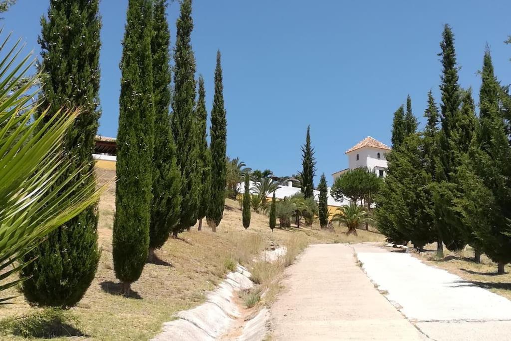 Photo 29