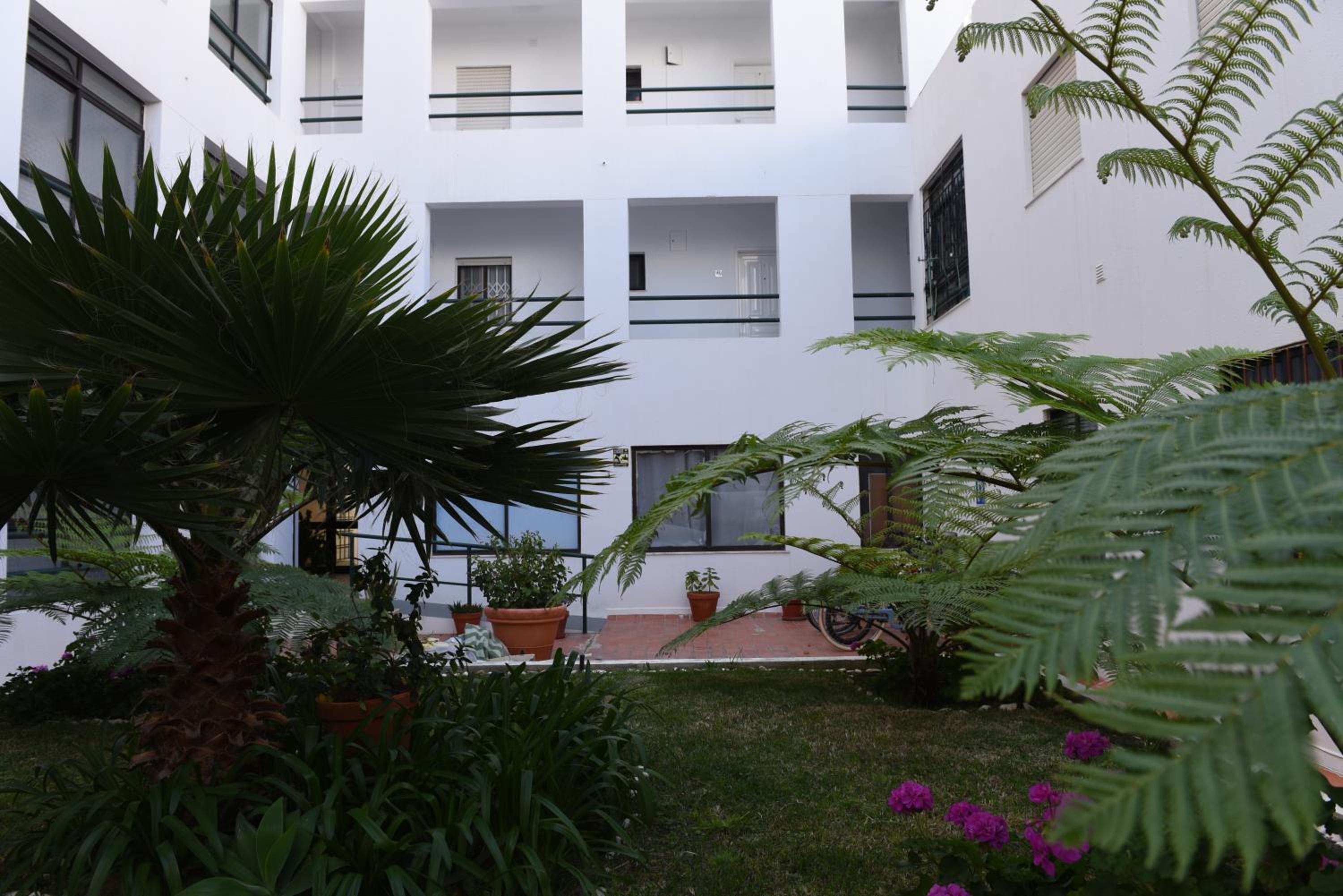 Photo 46