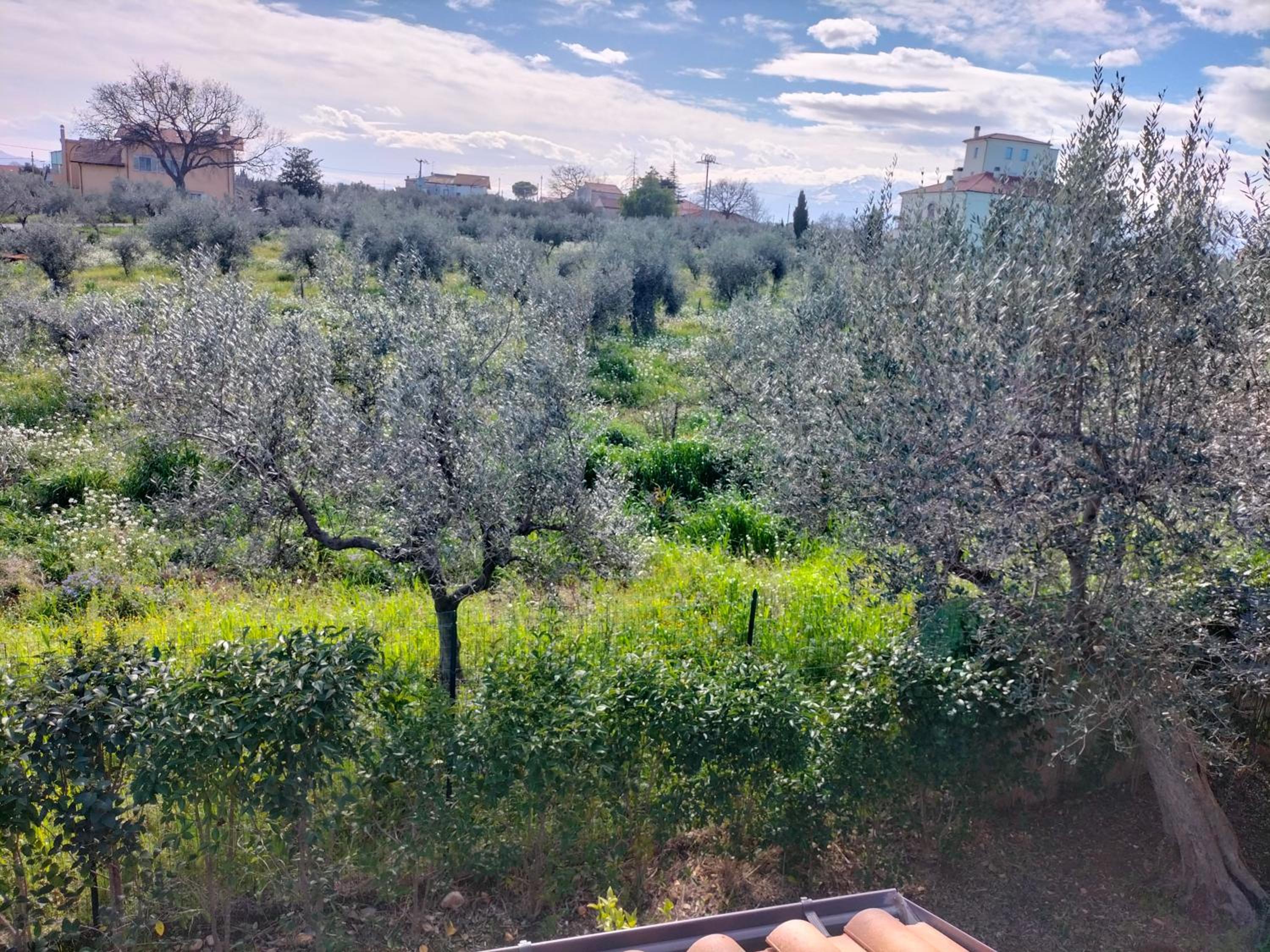 Villa FloMa by Holiday World view 4