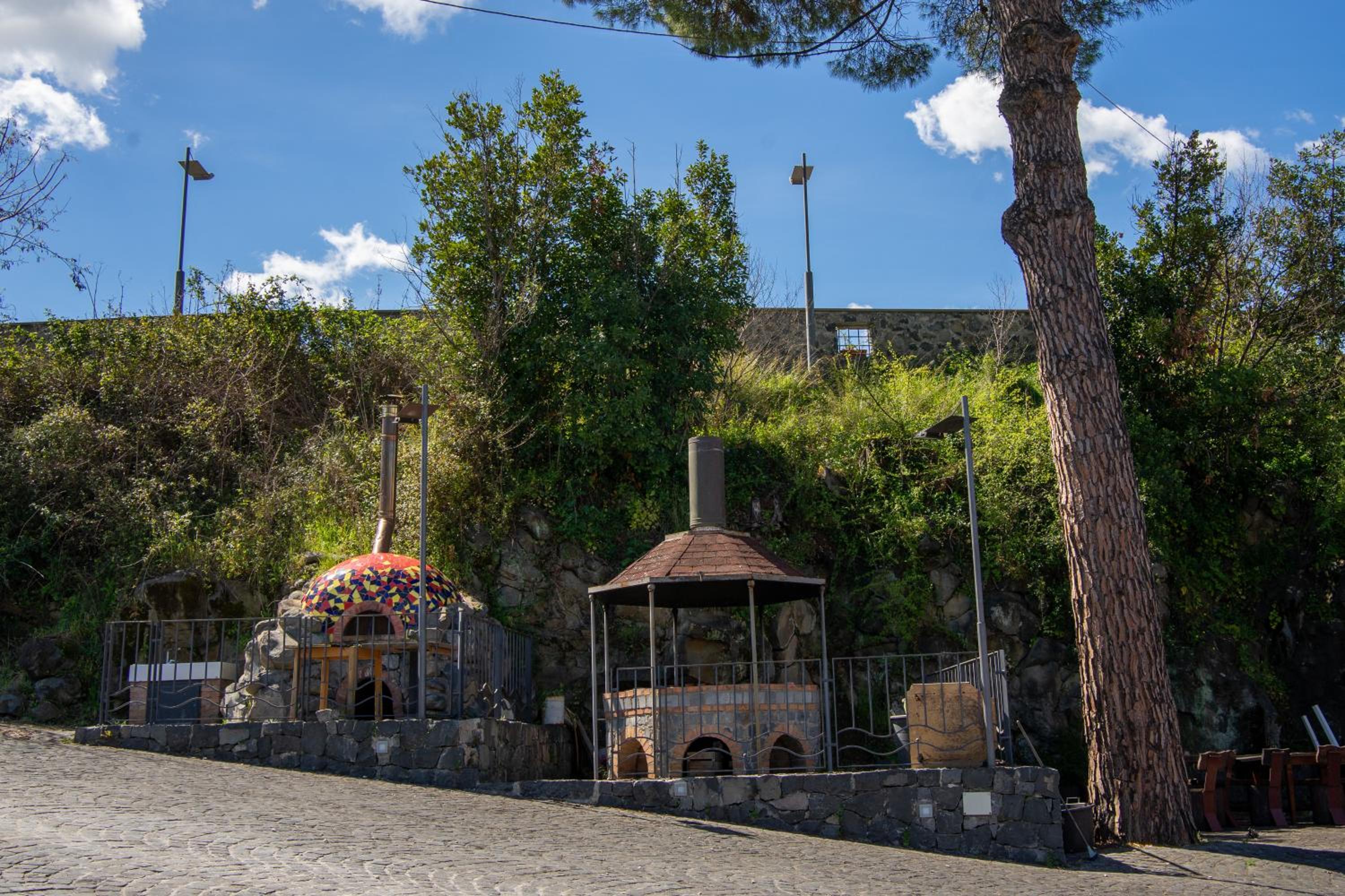 Tenuta Borsari