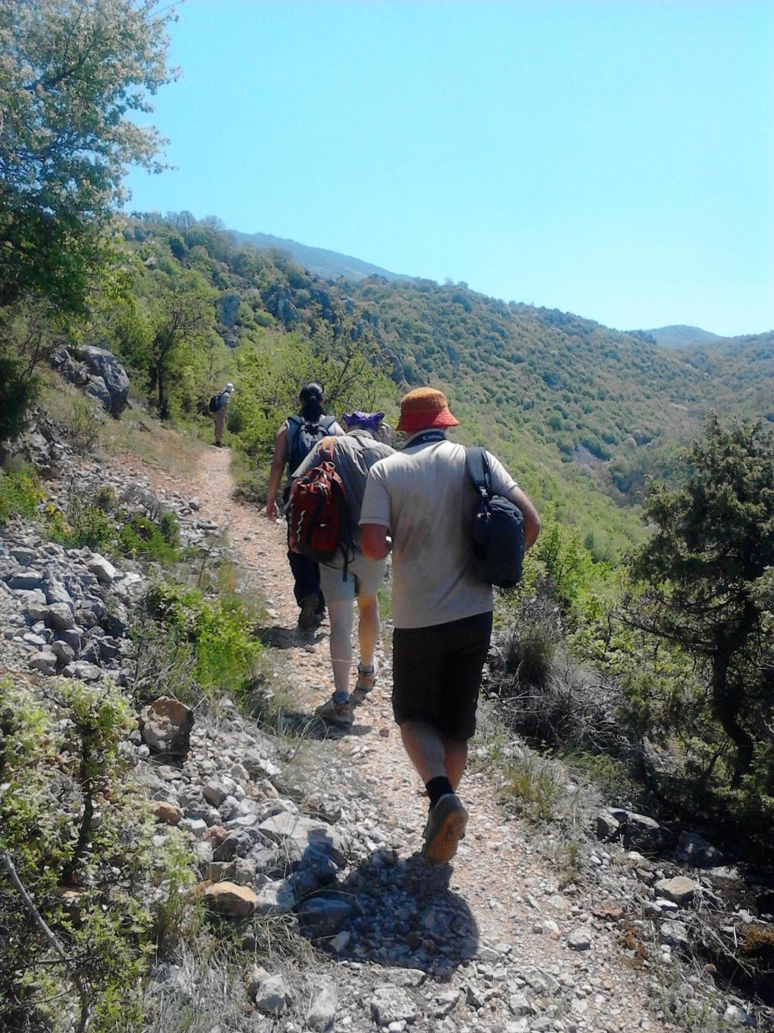 Photo 14
